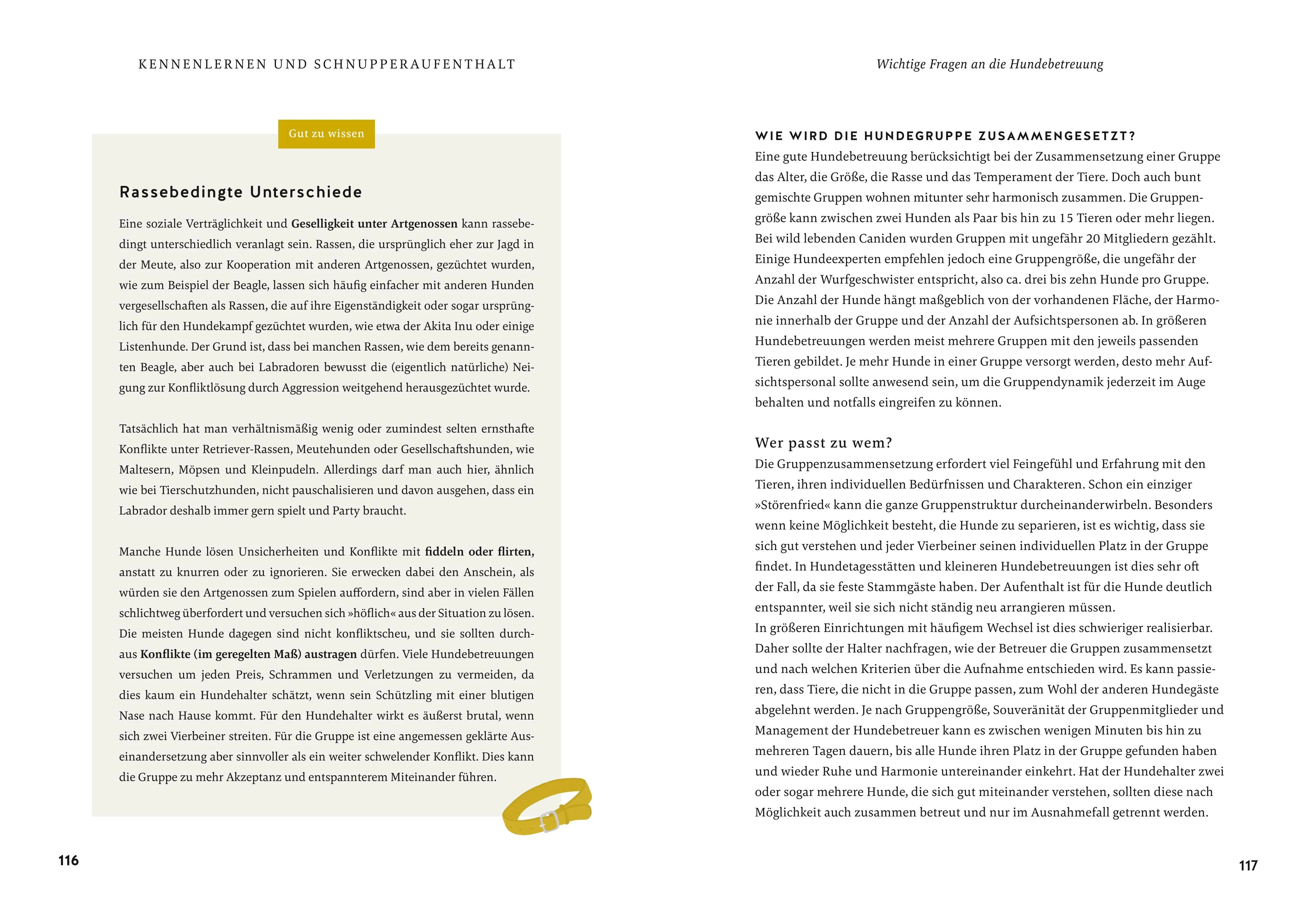 Produktansicht: Wohin mit meinem Hund? (Gebundene Ausgabe)