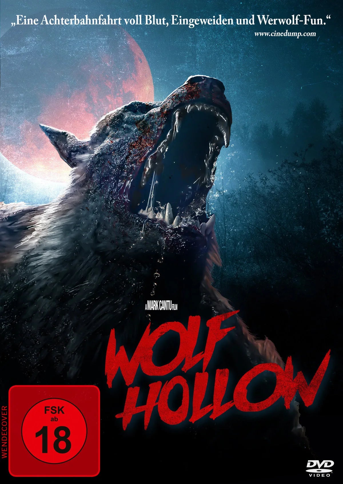 Wolf Hollow - DVD
