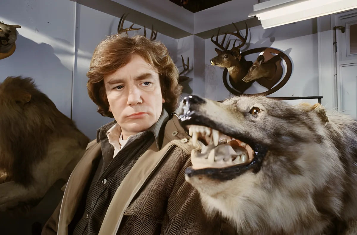 Filmszene 1 aus Wolfen - Fullsleeve Edition – Blu-ray. Regie: Michael Wadleigh
