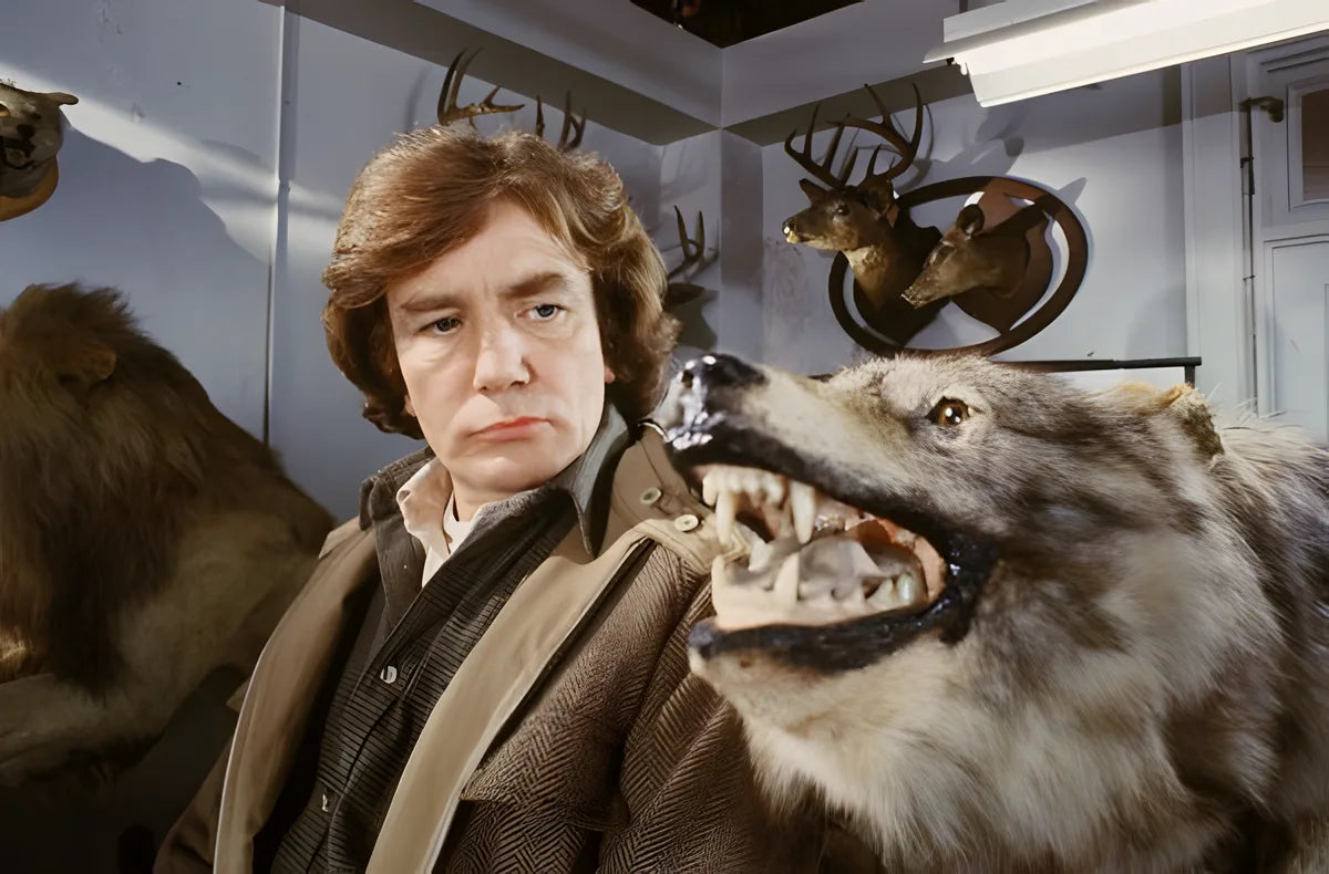 Filmszene 1 aus Wolfen - Fullsleeve Edition – Blu-ray. Regie: Michael Wadleigh