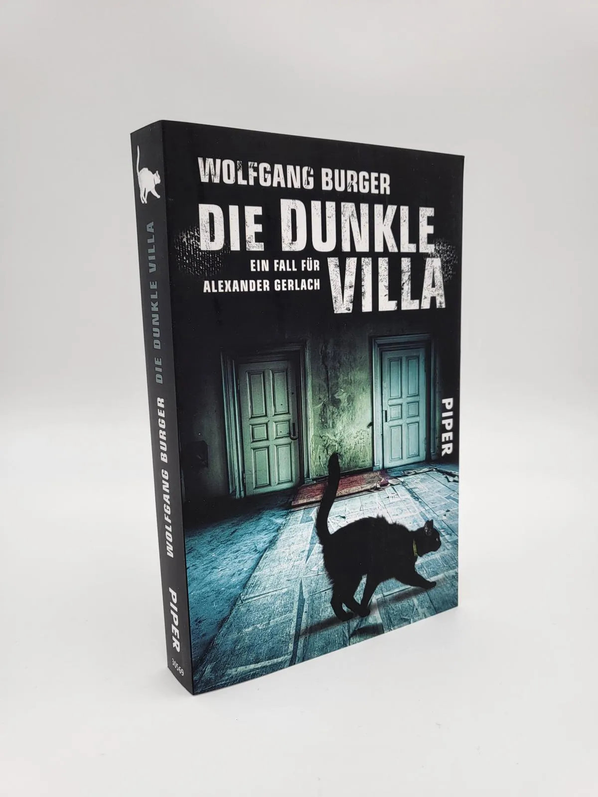 Produktansicht: Die dunkle Villa (Taschenbuch)