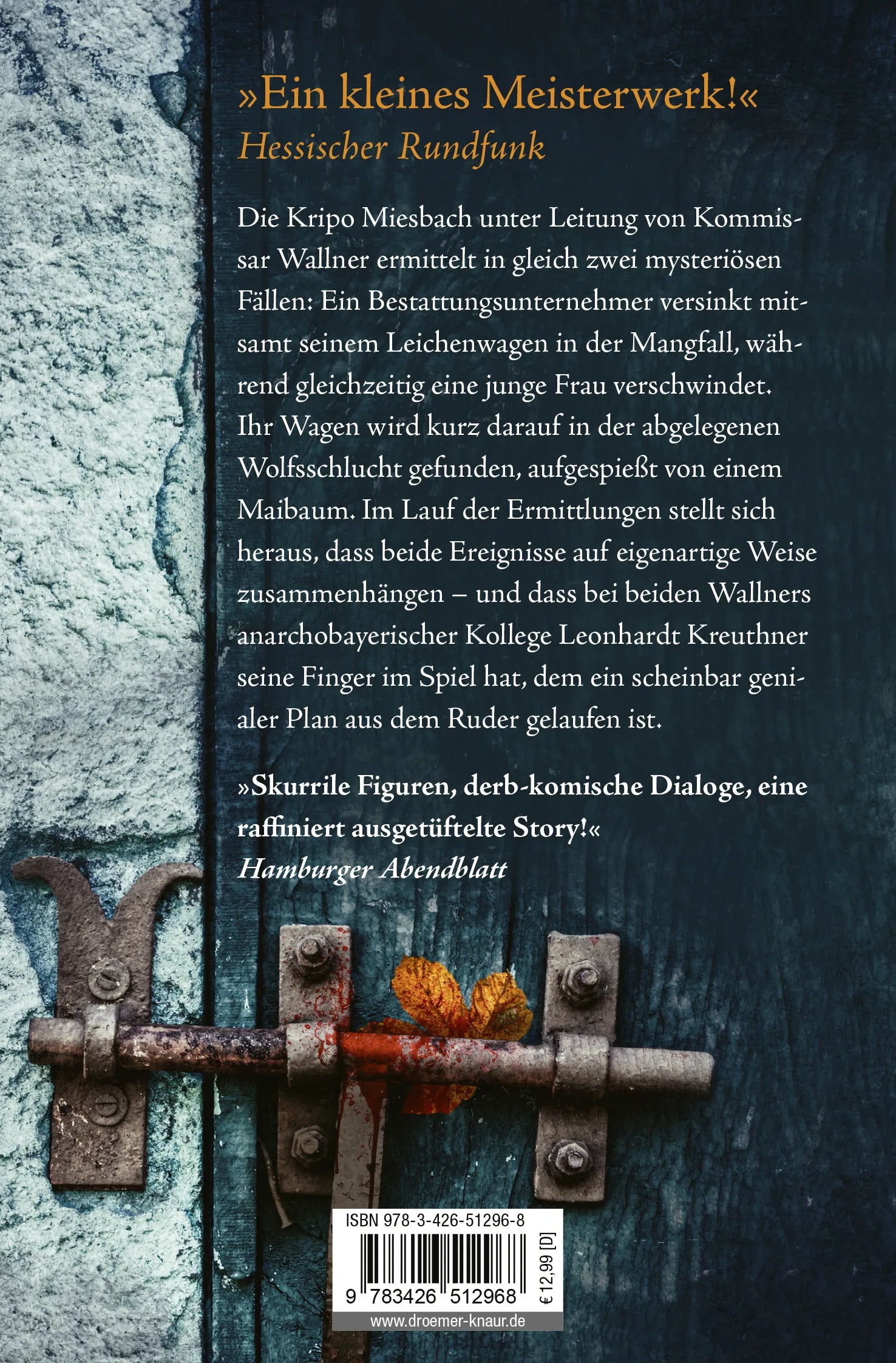 Buchrückseite von 'Wolfsschlucht' mit Klappentext - Taschenbuch