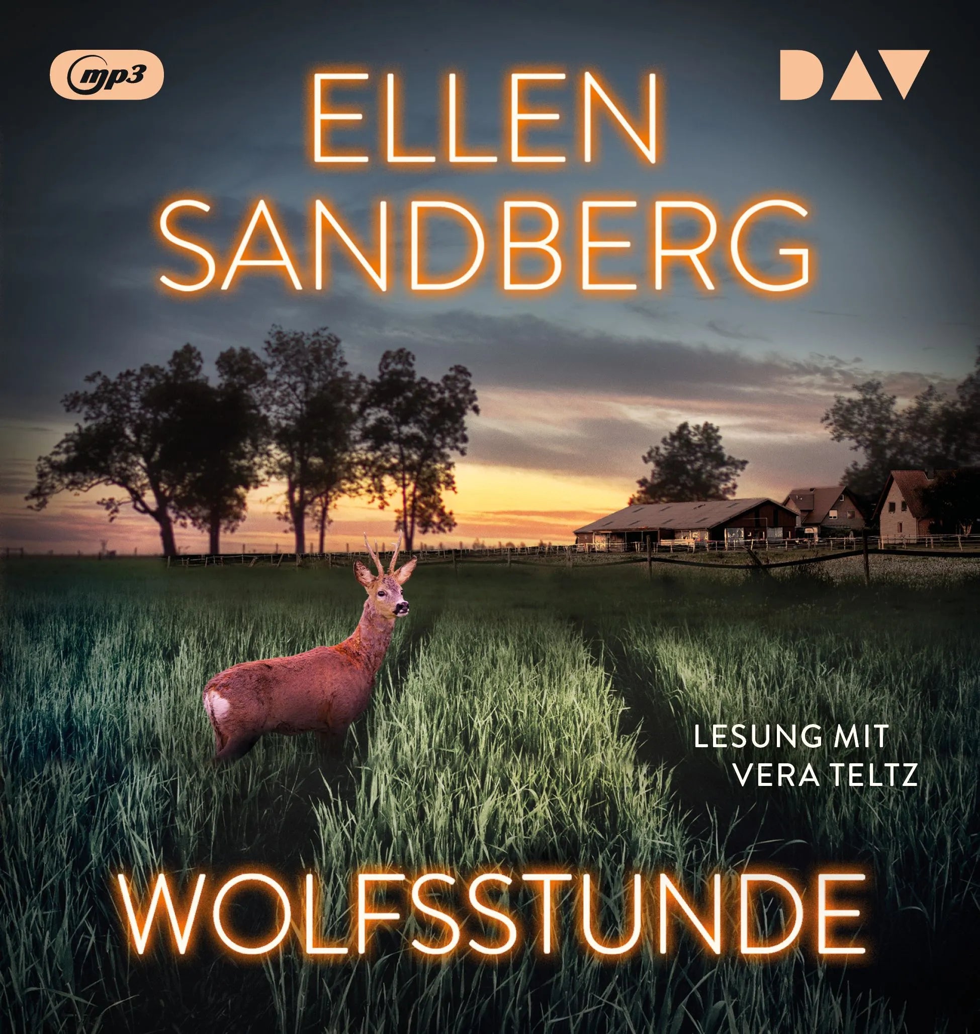 Cover: Wolfsstunde (Hörbuch CD) von Ellen Sandberg