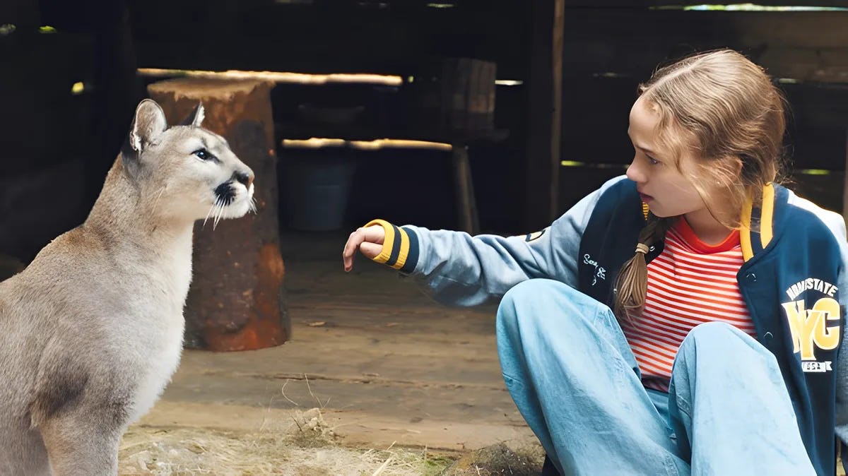 Filmszene 3 aus Woodwalkers 2 – Blu-ray. Regie: Sven Unterwaldt