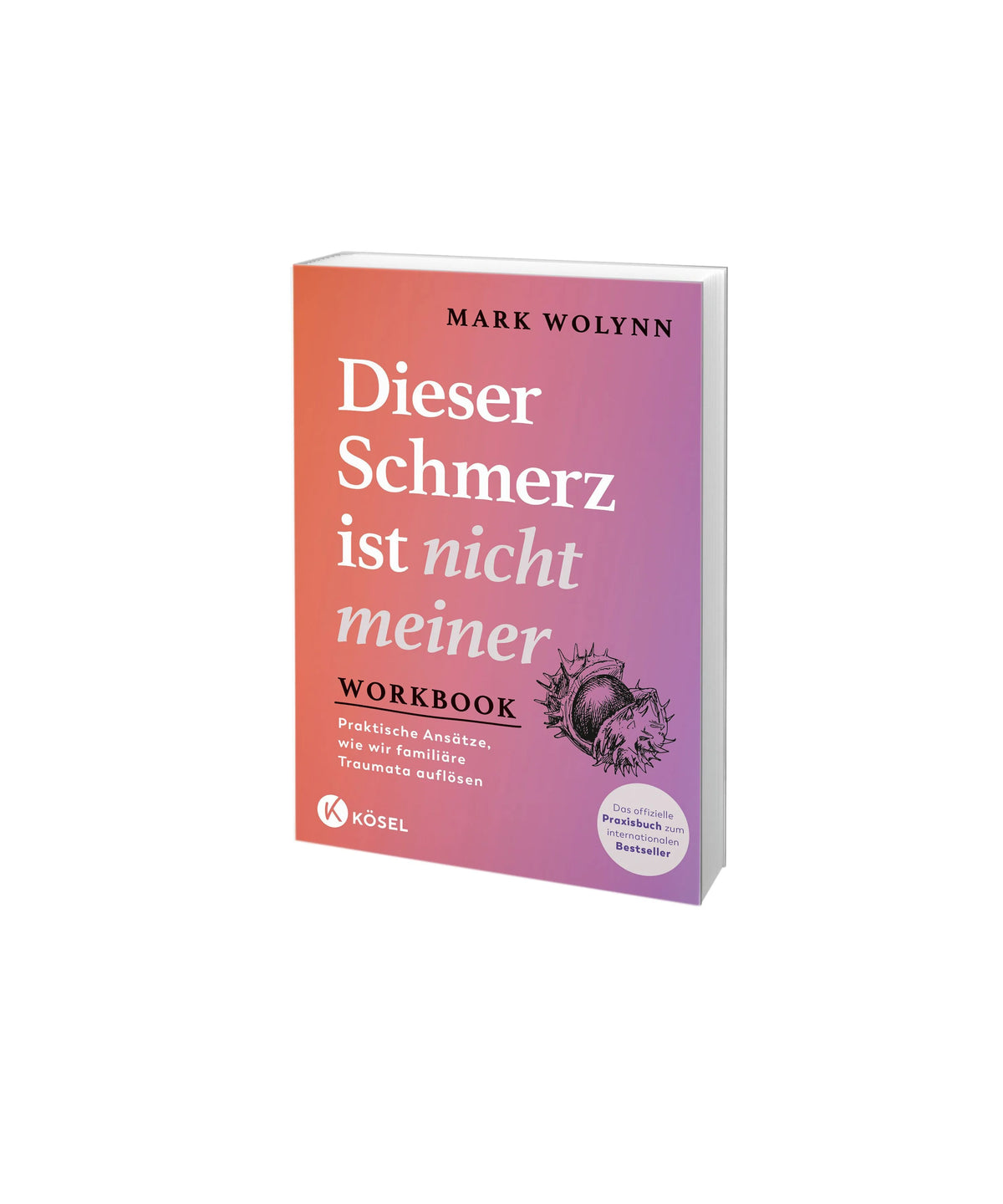 Detailansicht: Workbook: Dieser Schmerz ist nicht meiner (Paperback)