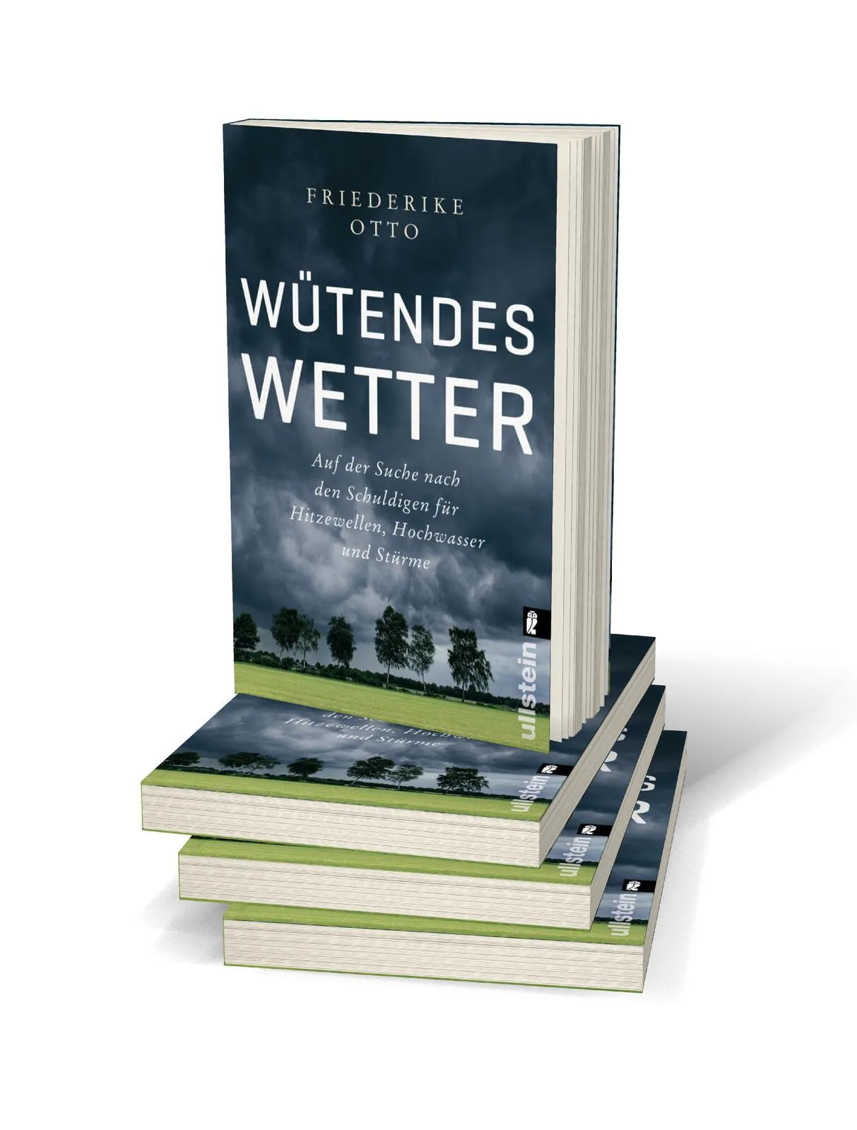 Detailansicht: Wütendes Wetter (Taschenbuch)