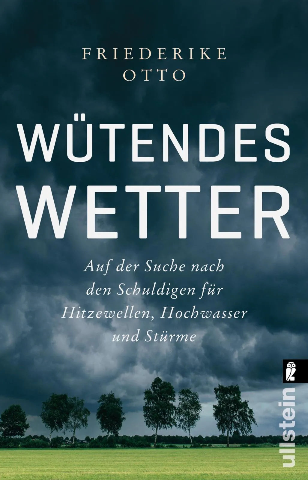 Cover: Wütendes Wetter (Taschenbuch) von Friederike Otto