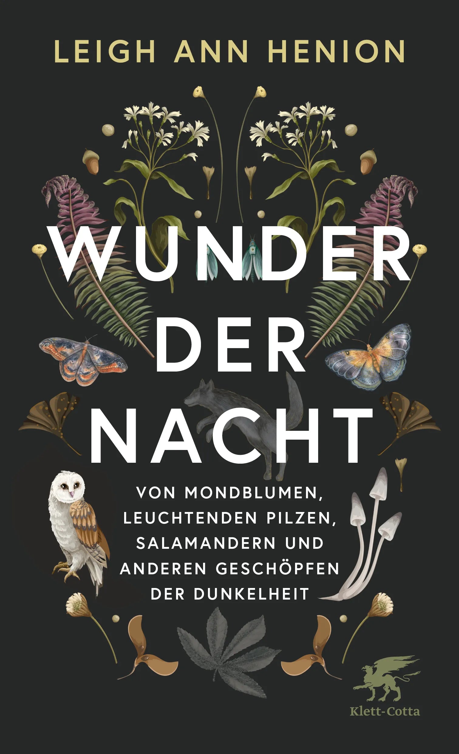 Cover: Wunder der Nacht (Hardcover) von Leigh Ann Henion