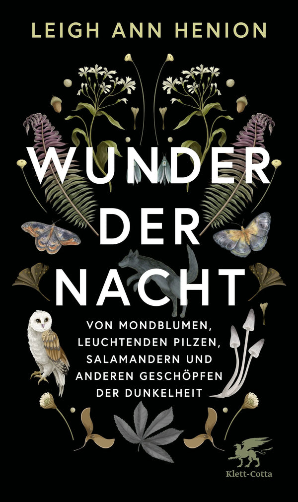 Wunder der Nacht