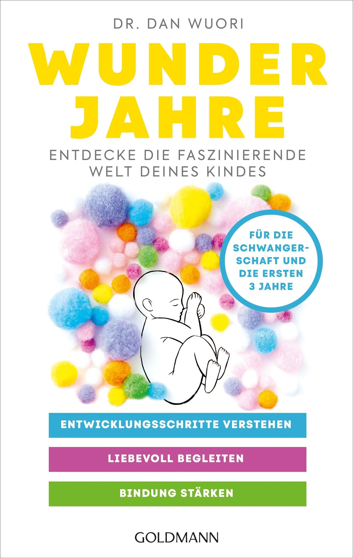 Cover: Wunderjahre (Paperback) von Dan Wuori