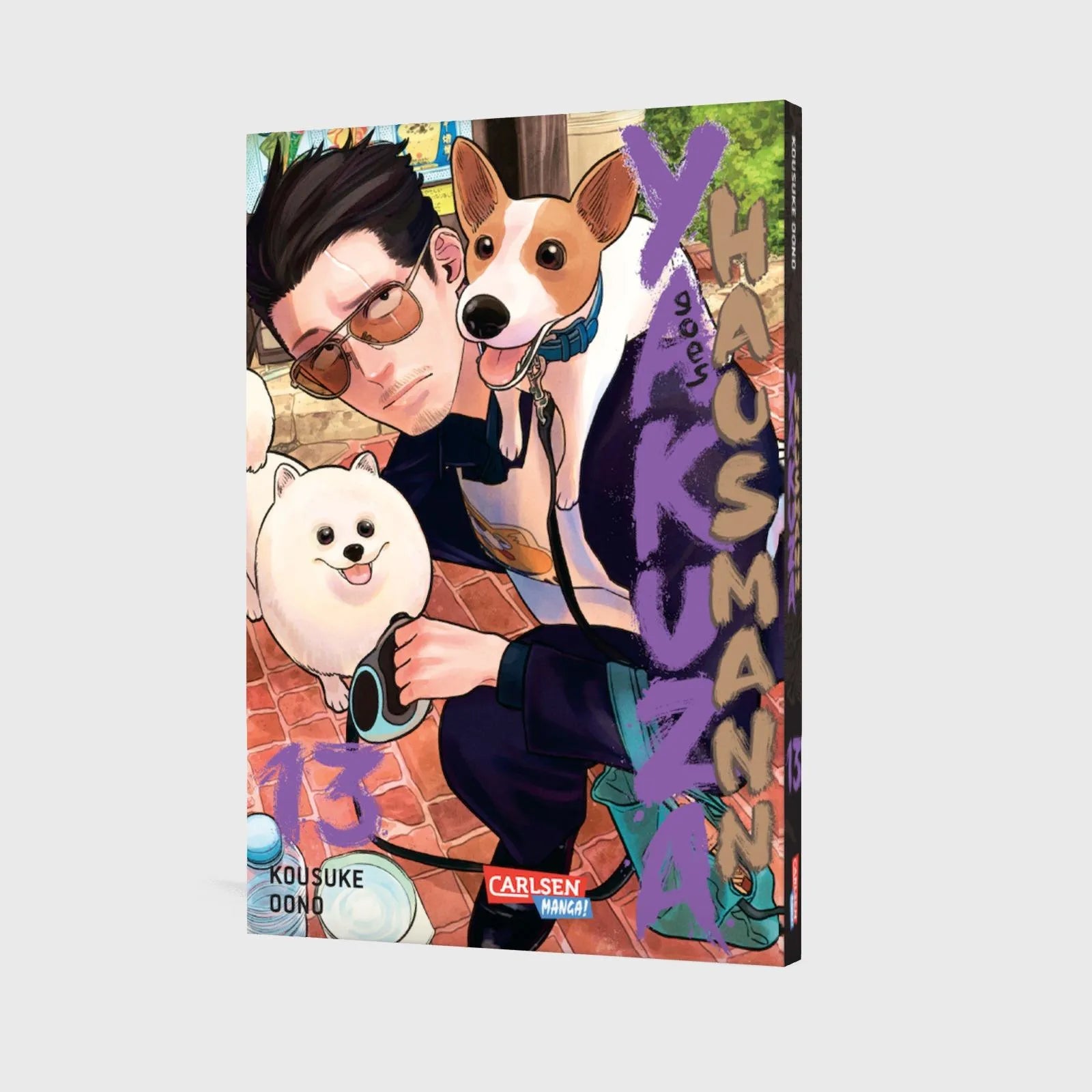 Produktansicht: Yakuza goes Hausmann 13 (Taschenbuch)