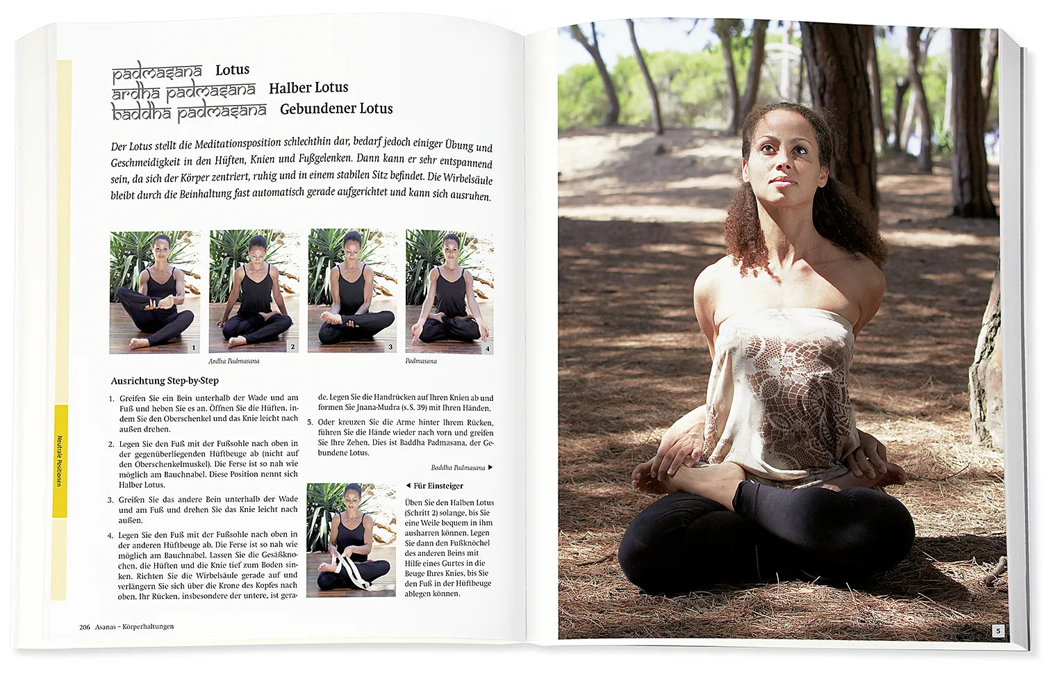 Inge Schöps - Yoga - Das große Praxisbuch für Einsteiger & Fortgeschrittene