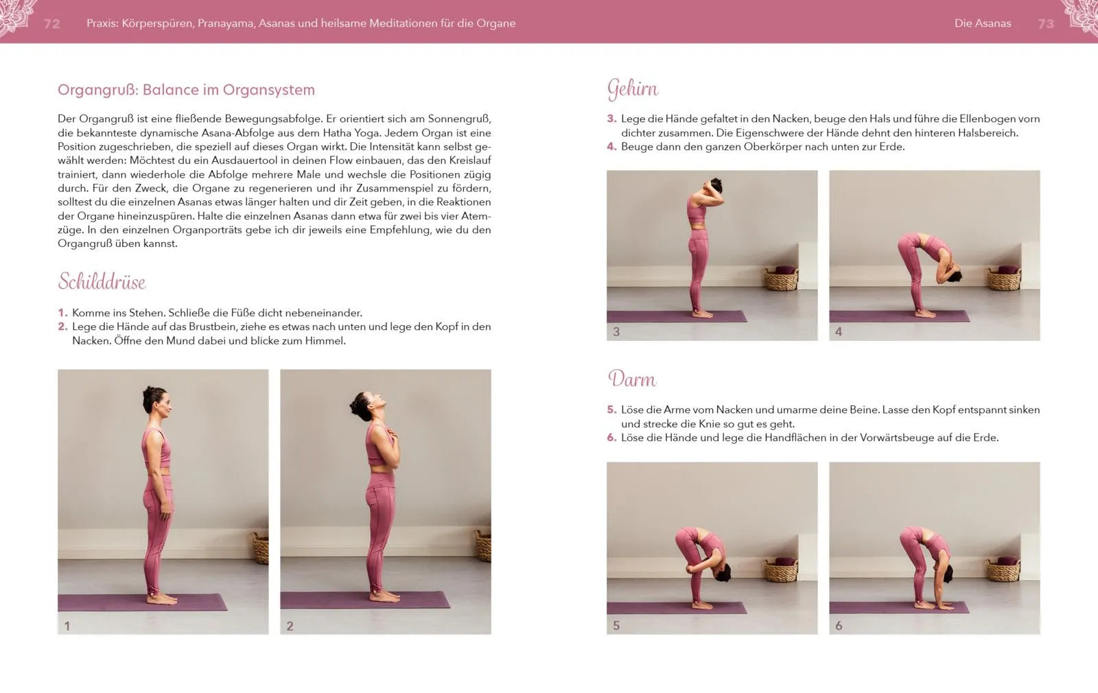 Innenansicht von 'Yoga für die Organe' - Taschenbuch