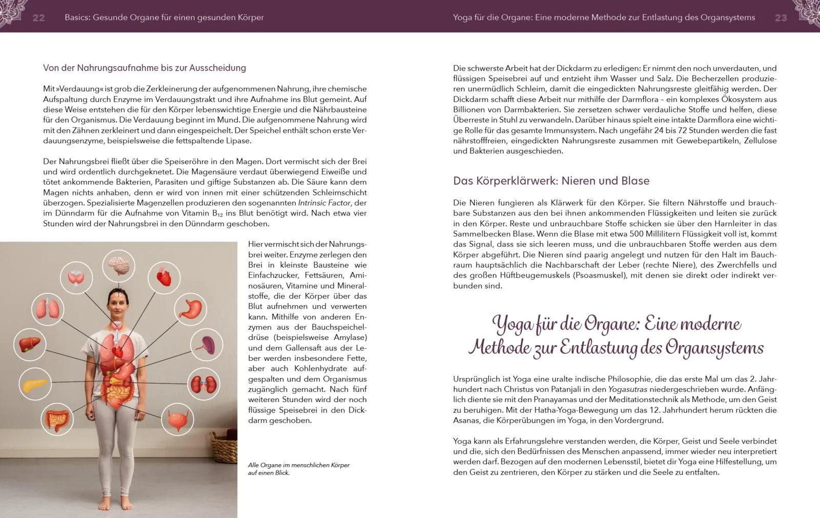 Innenansicht von 'Yoga für die Organe' - Taschenbuch