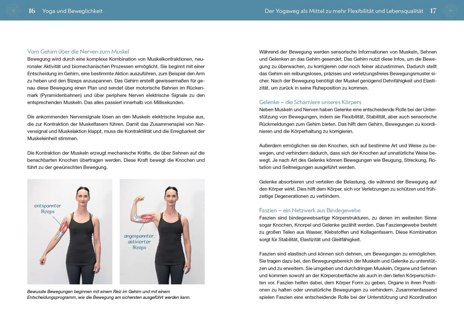 Innenansicht von 'Yoga für Unbewegliche' - Taschenbuch