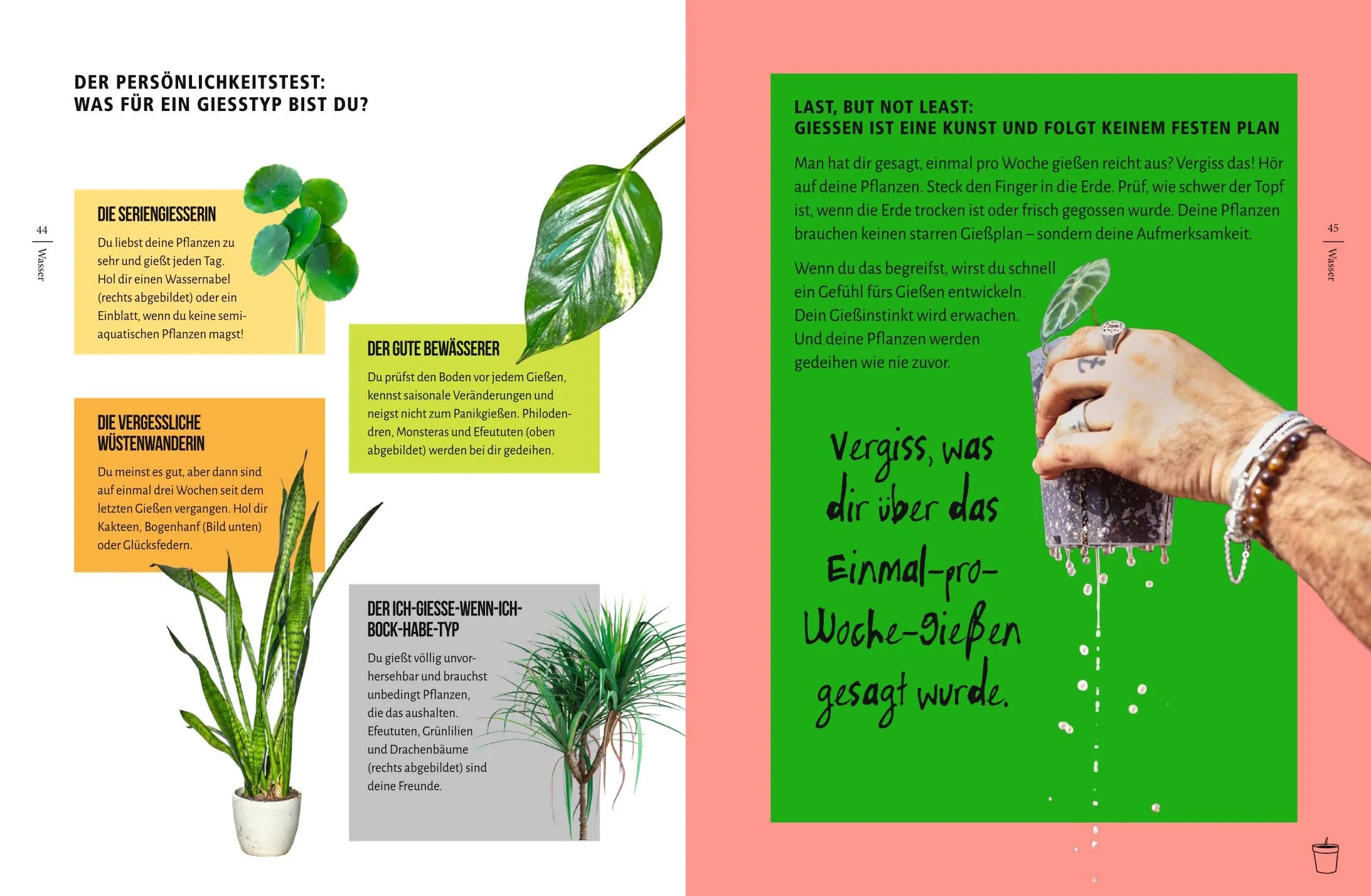 Produktansicht: You're overwatering it! (Gebundene Ausgabe)