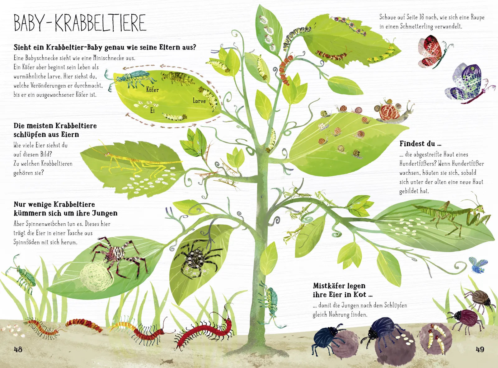 Produktansicht: Das große Buch der Krabbeltiere (Gebundene Ausgabe)
