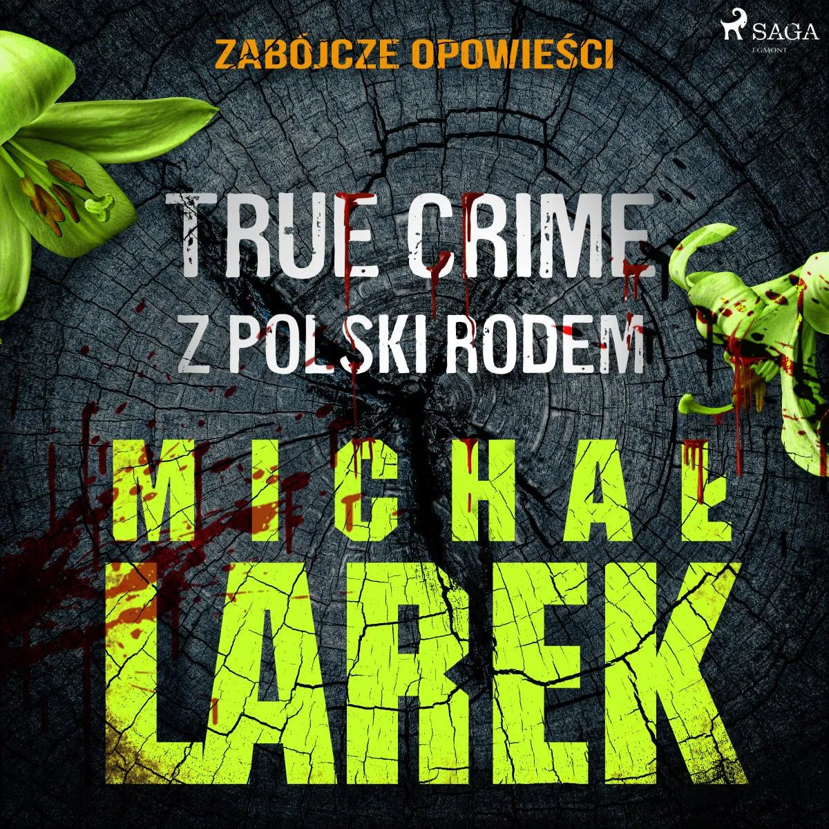 Cover: Zabójcze opowieści: true crime z Polski rodem (Hörbuch Download) von Michal Larek