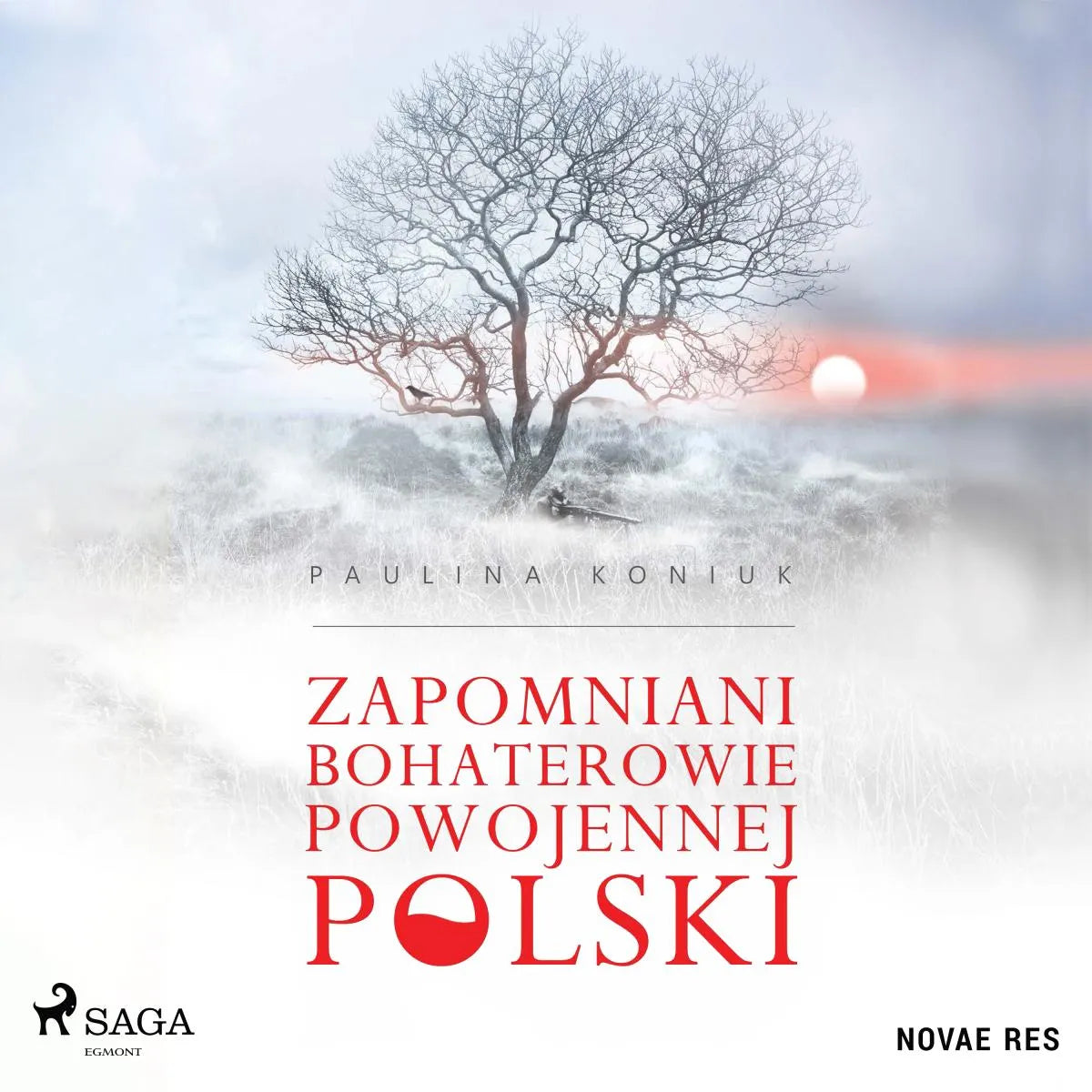 Cover: Zapomniani bohaterowie powojennej Polski (Hörbuch Download) von Paulina Koniuk