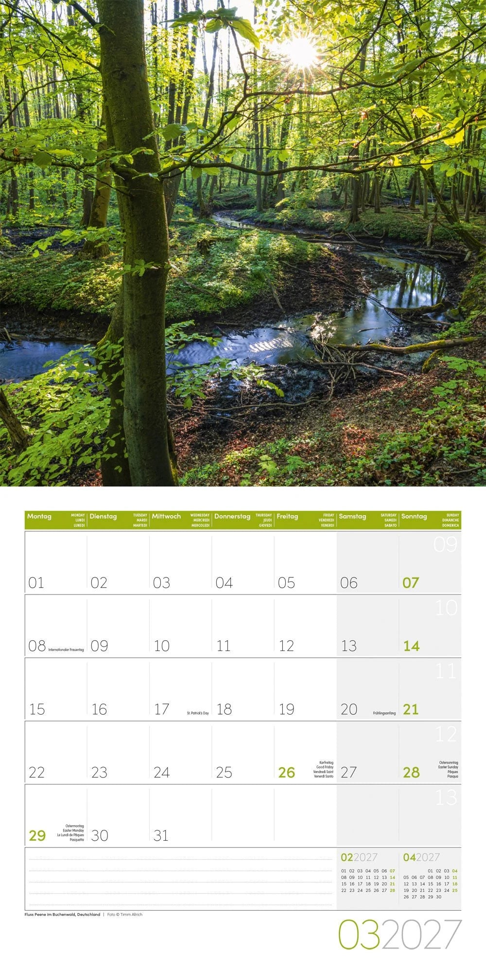Zauber des Waldes Kalender 2027 - 30x30 - Art12 – Ansicht