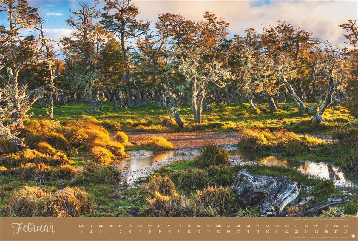 Zauberwälder Edition Kalender 2027 – Ansicht