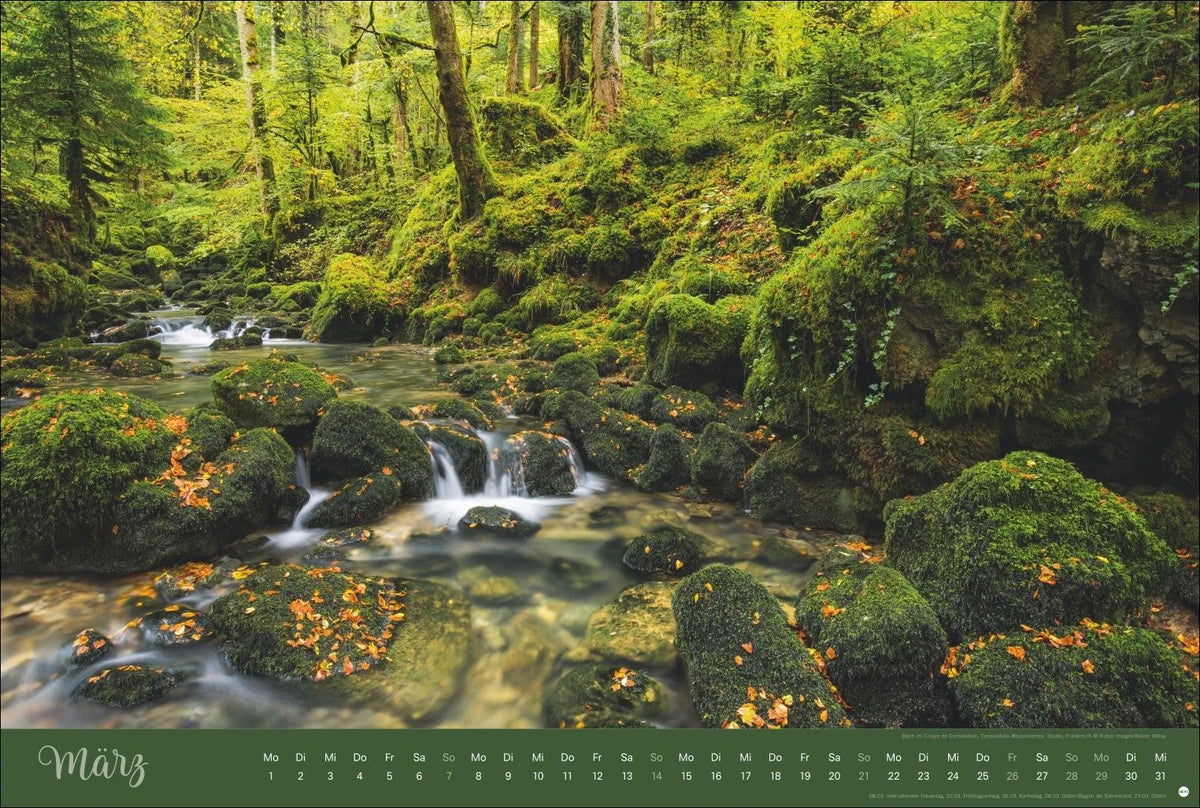Zauberwälder Edition Kalender 2027 – Ansicht
