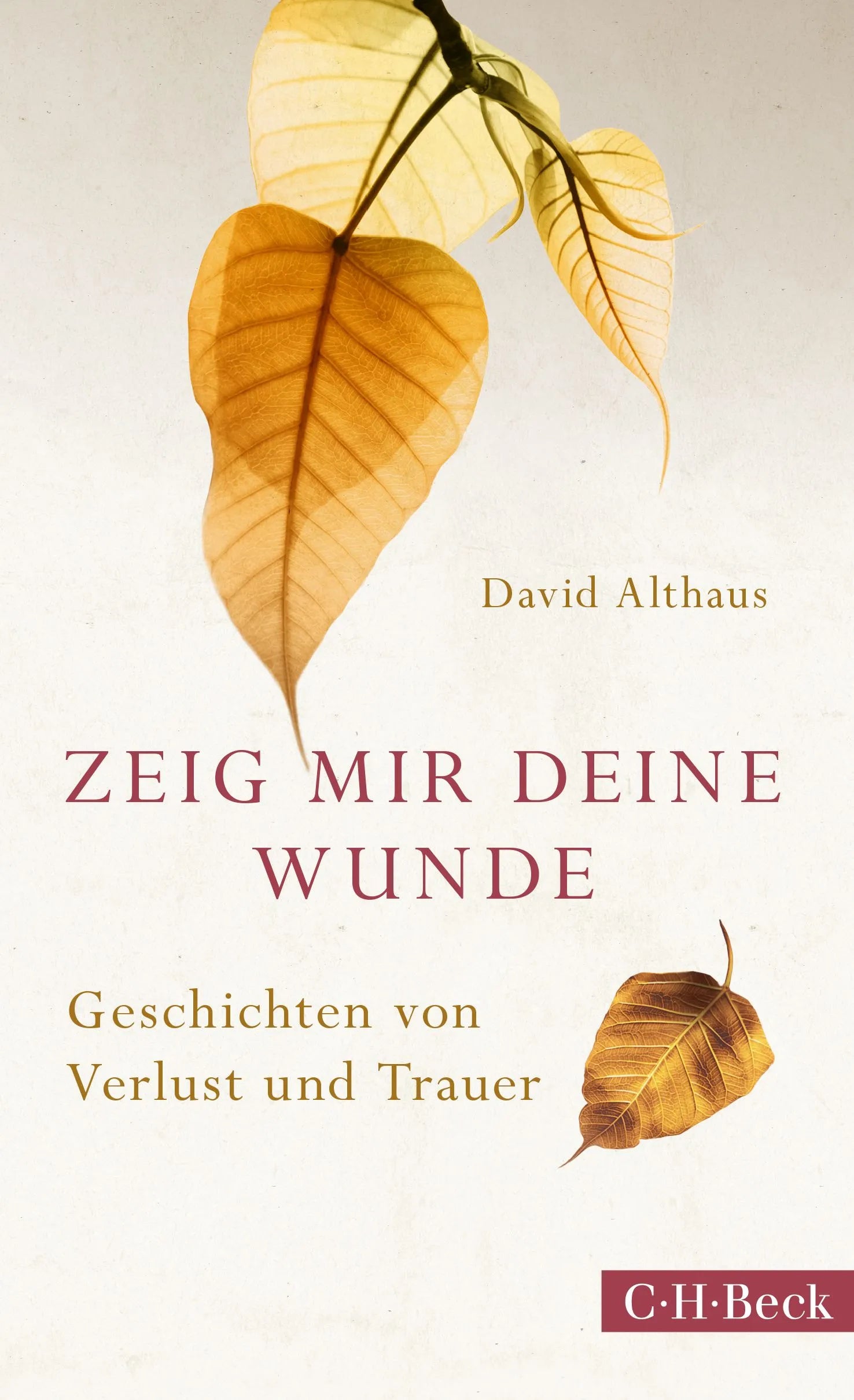 Buchcover von 'Zeig mir deine Wunde' - Taschenbuch von David Althaus