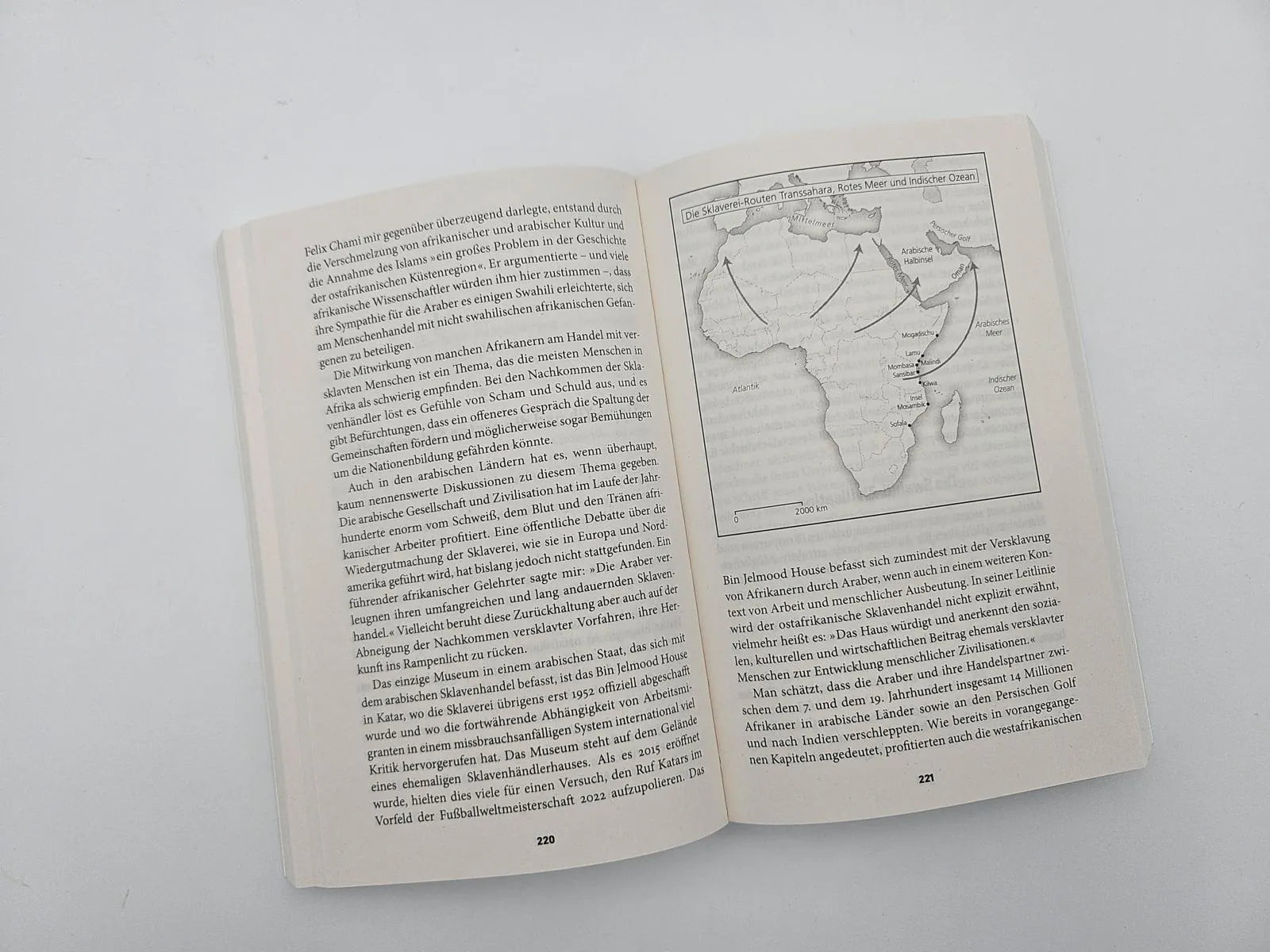 Produktansicht: Eine afrikanische Geschichte Afrikas (Taschenbuch)