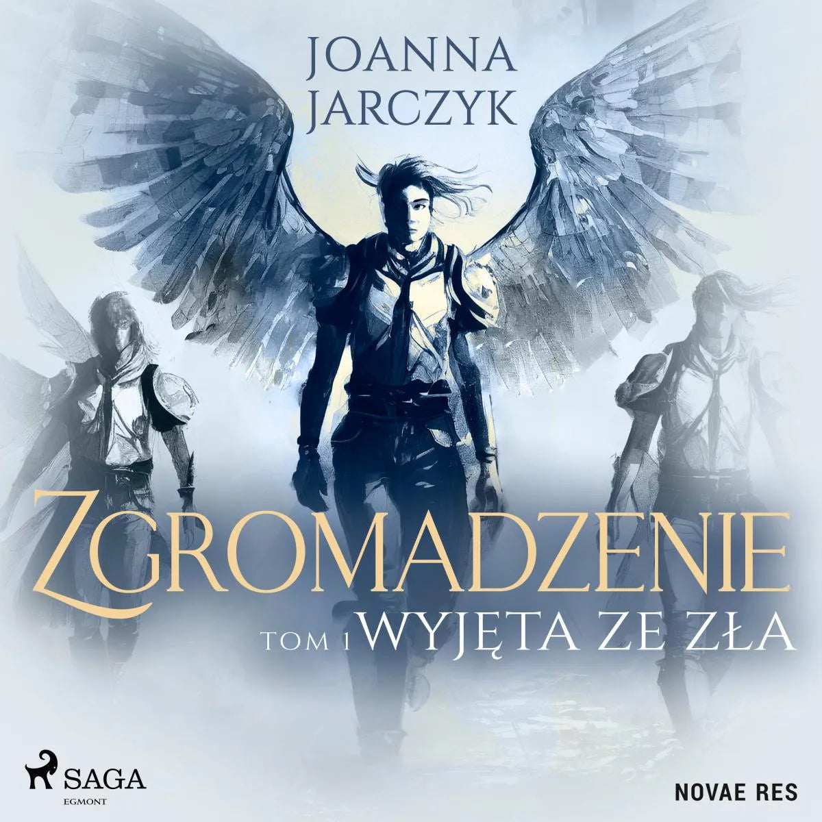 Cover: Zgromadzenie. Tom 1. Wyjęta ze zła (Hörbuch Download) von Joanna Jarczyk