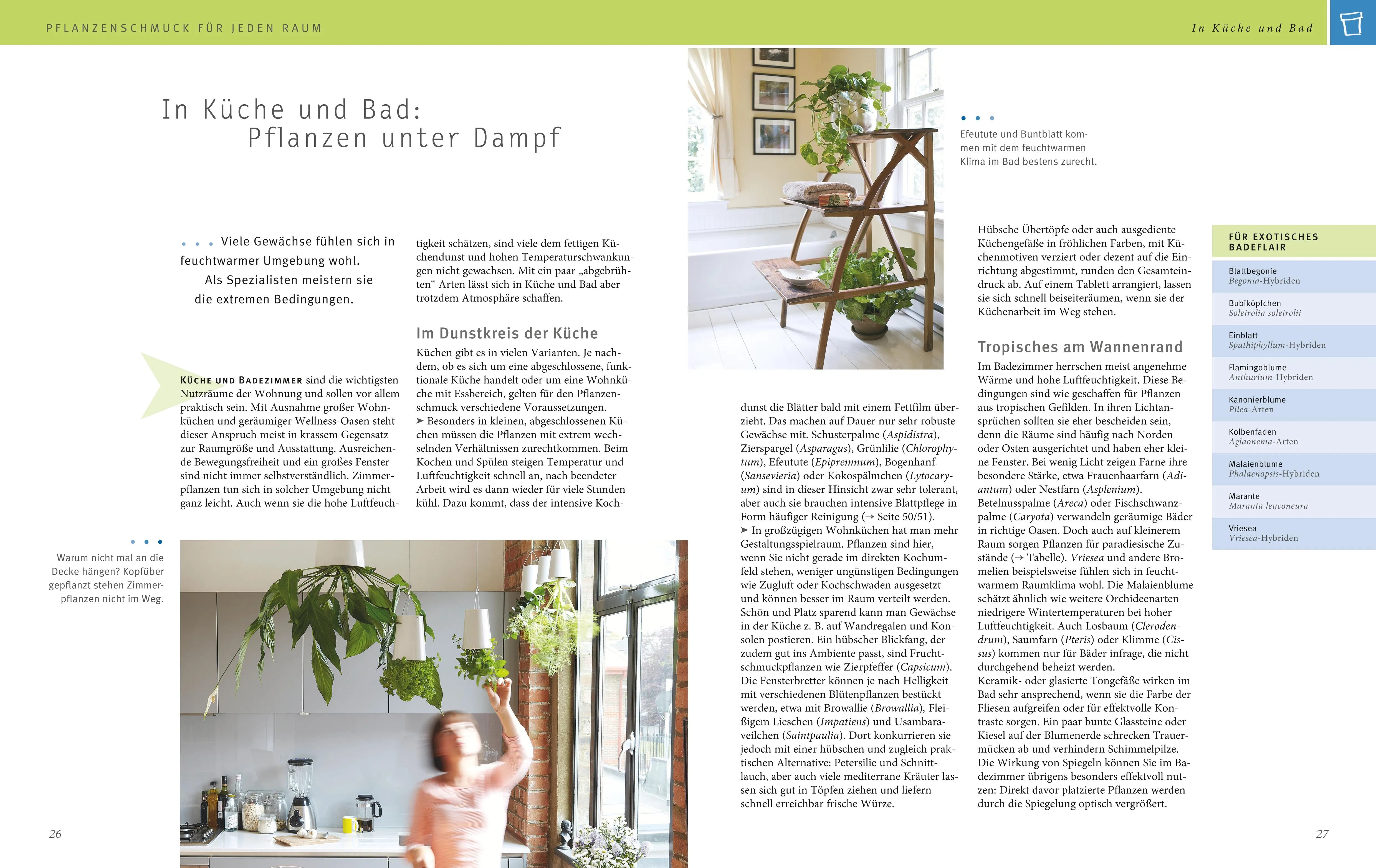 Karin Greiner - Zimmerpflanzen