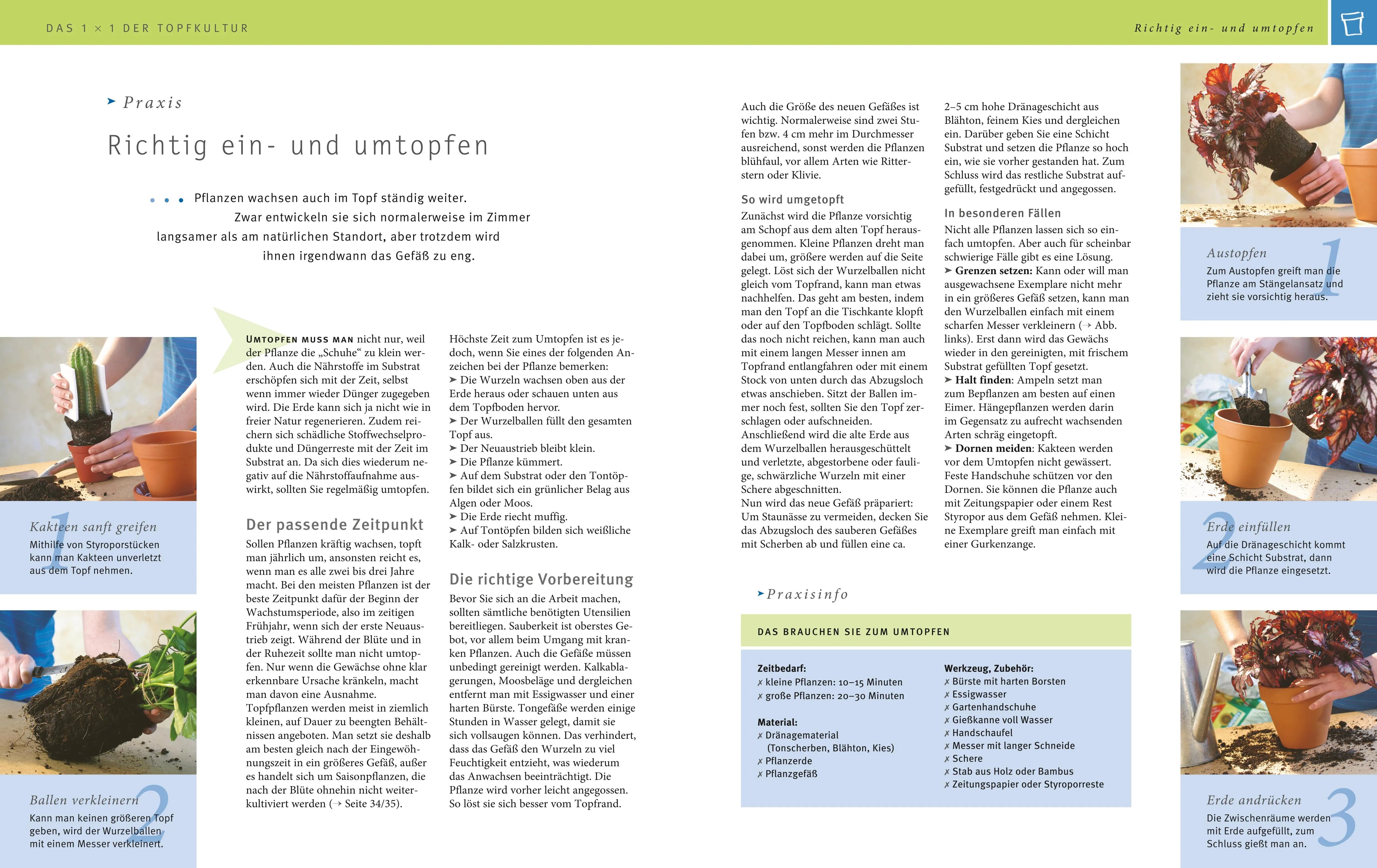 Abbildung von 'Zimmerpflanzen'