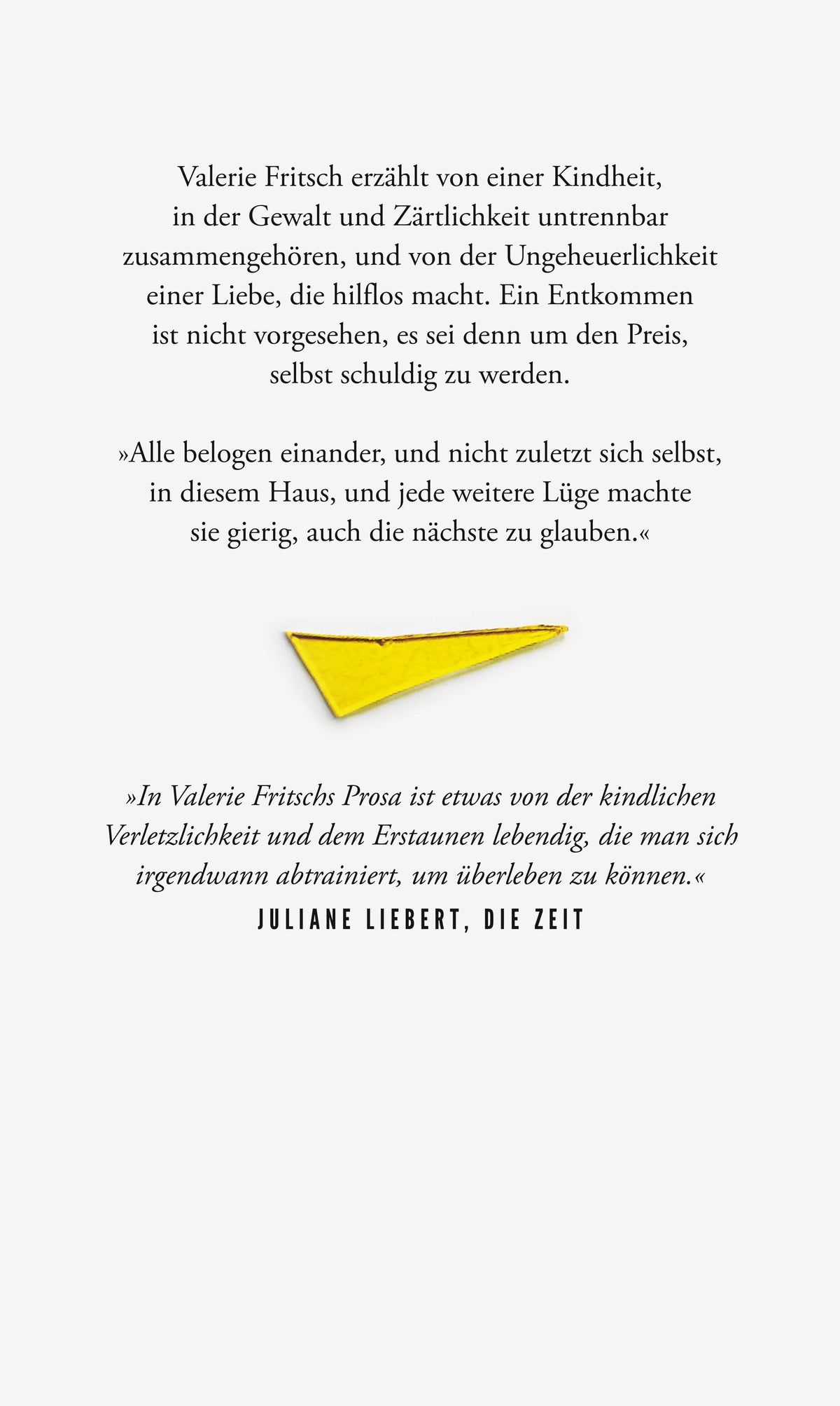 Buchrückseite von 'Zitronen' mit Klappentext - Gebundene Ausgabe