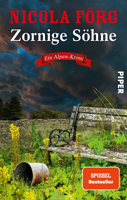 Buchcover von 'Zornige Söhne' - Paperback von Nicola Förg