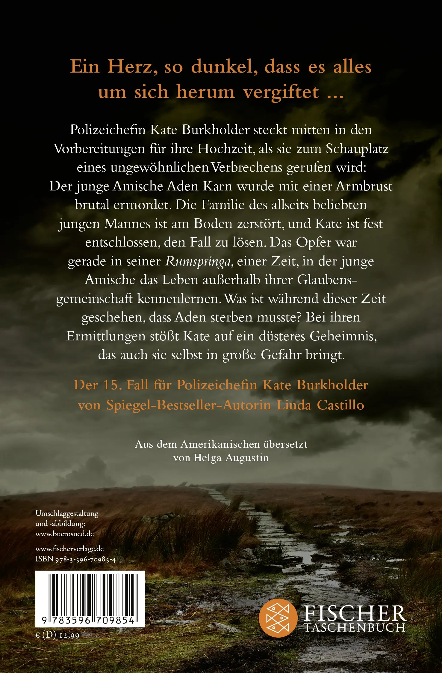 Buchrückseite von 'Zorniges Herz' mit Klappentext - Taschenbuch