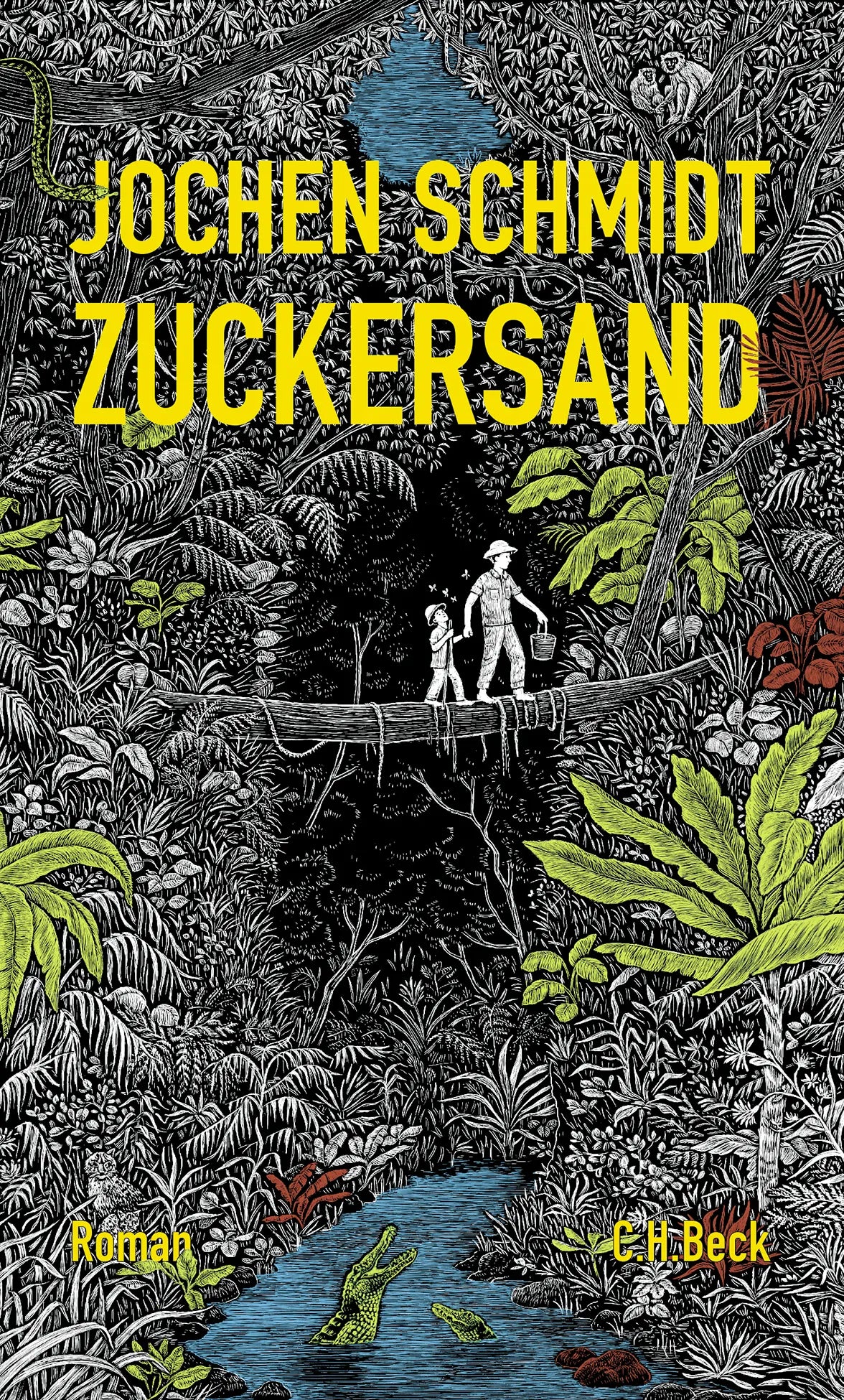 Buchcover von 'Zuckersand' - Gebundene Ausgabe von Jochen Schmidt