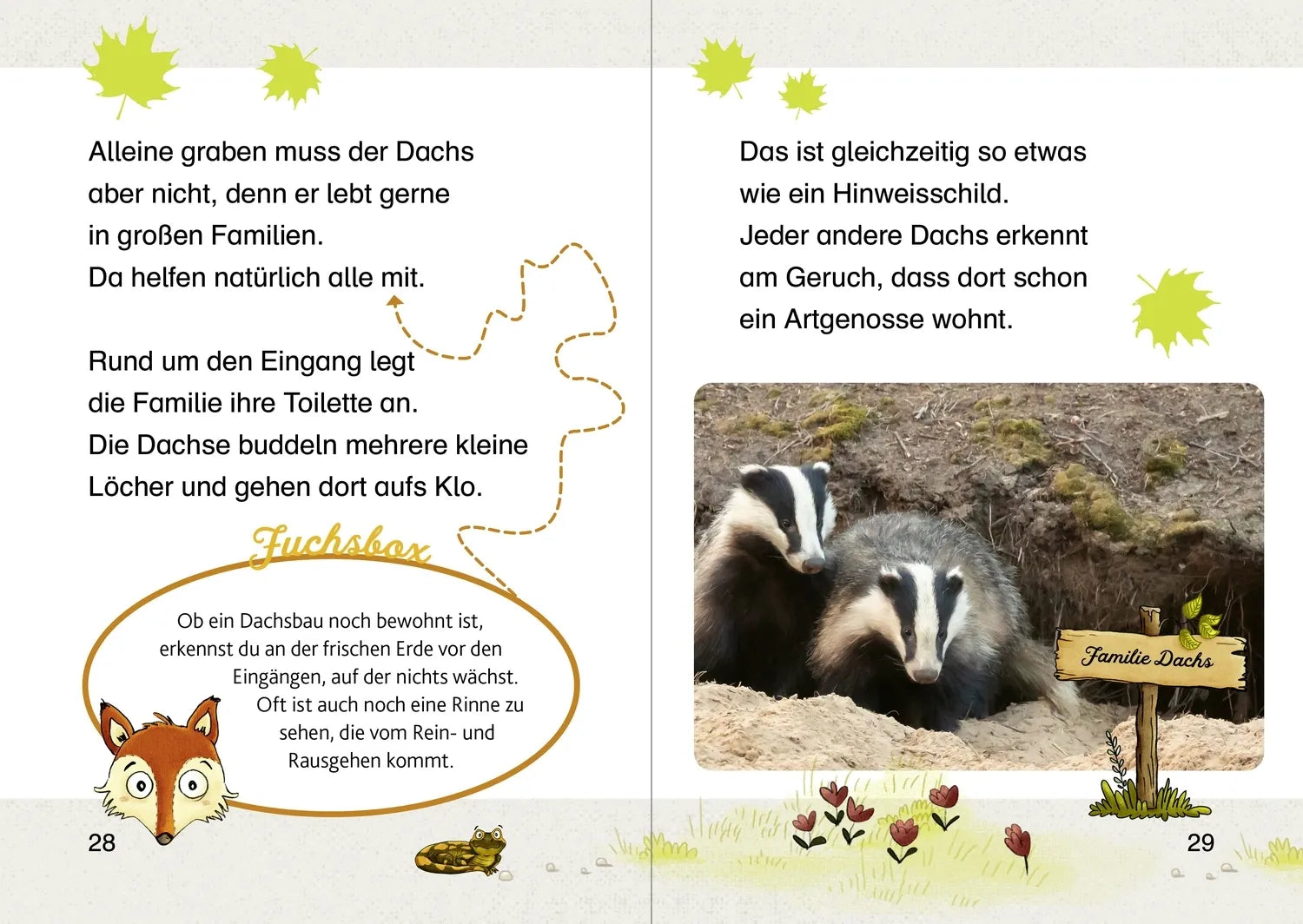 Abbildung von 'Zuhause bei den Waldtieren'
