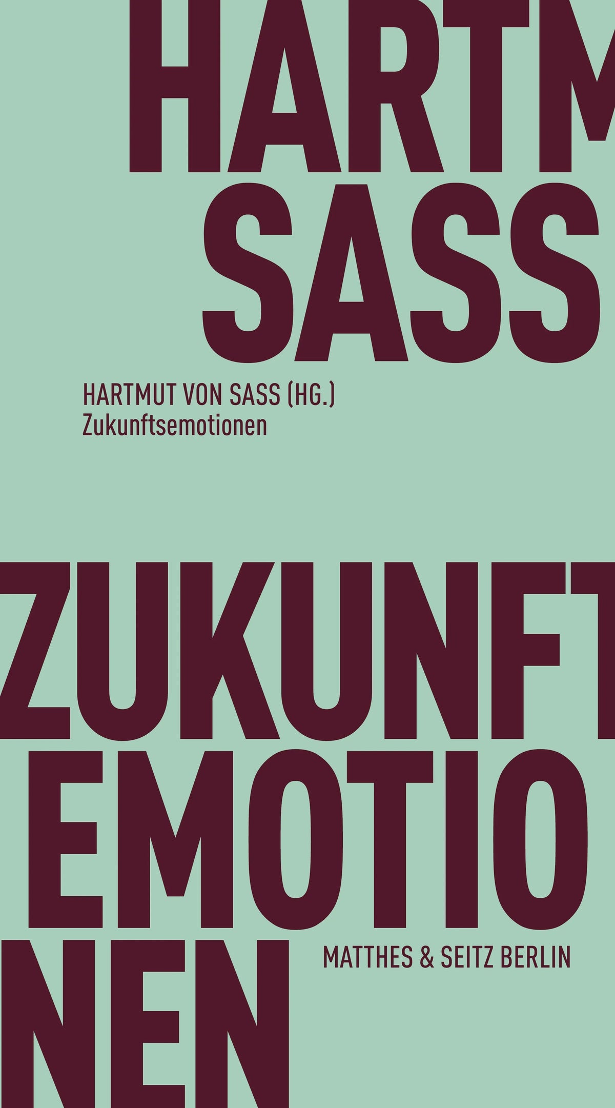 Cover: Zukunftsemotionen (E-Book) von Hartmut von Sass