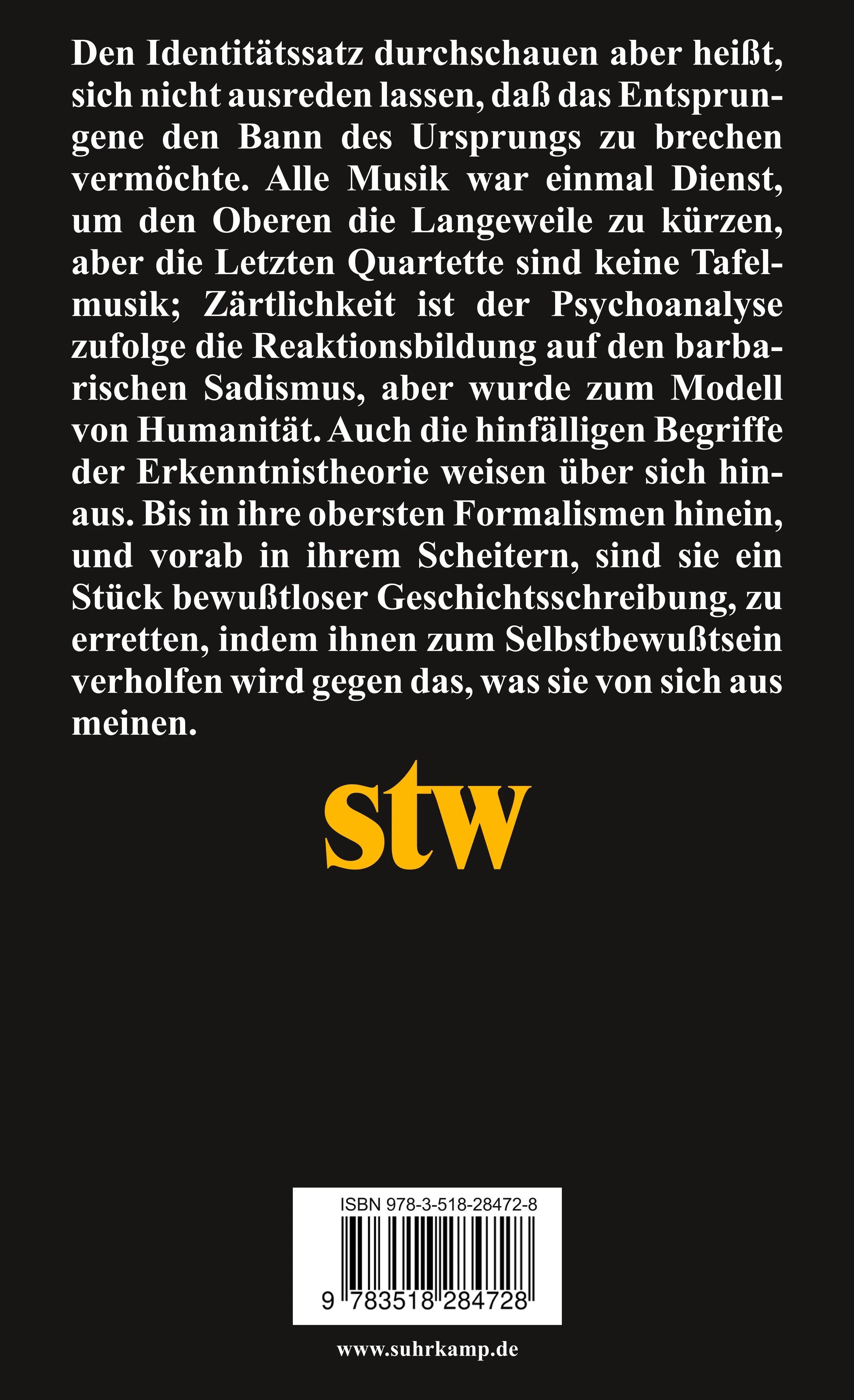 Buchrückseite von 'Zur Metakritik der Erkenntnistheorie' mit Klappentext - Taschenbuch