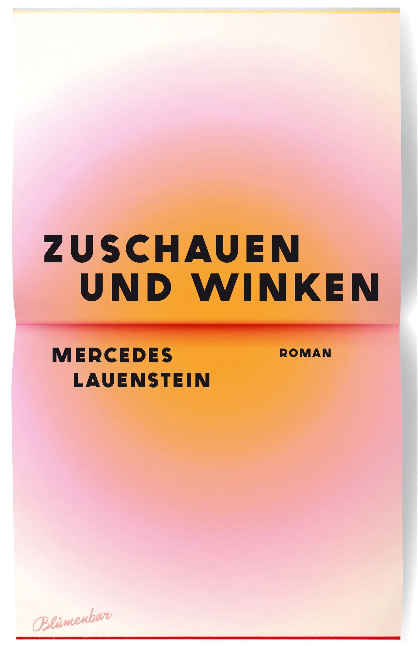 Buchcover von 'Zuschauen und Winken' - Gebundene Ausgabe von Mercedes Lauenstein