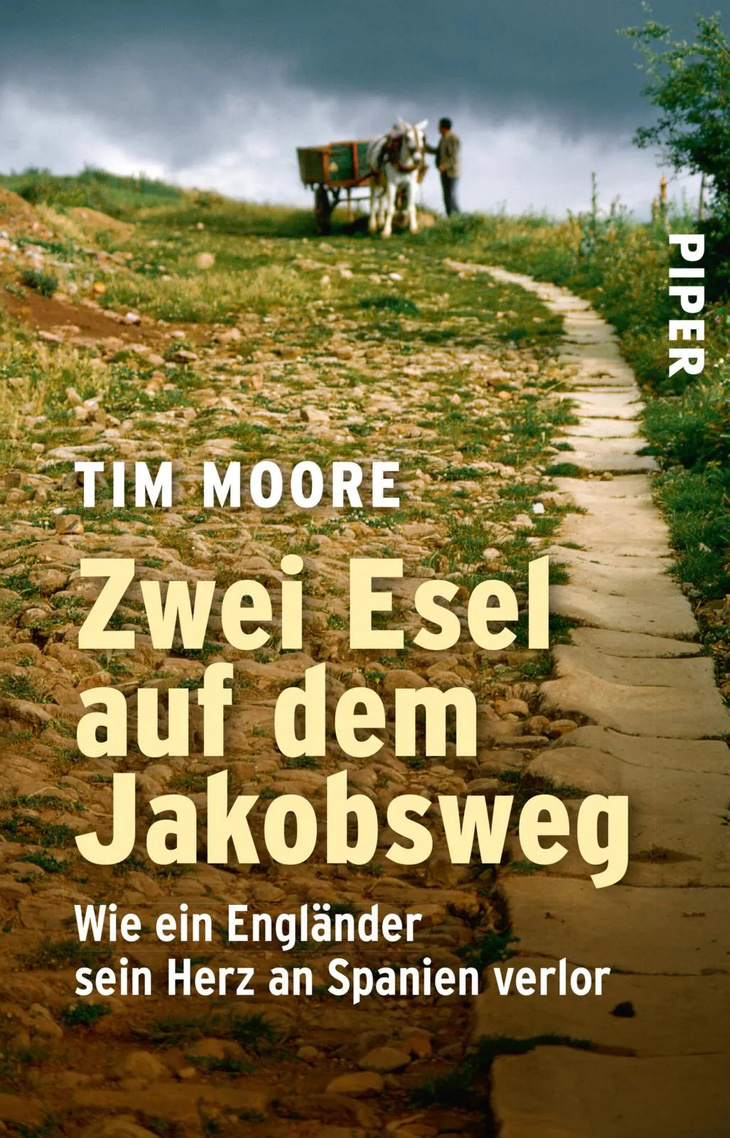 Buchcover von 'Zwei Esel auf dem Jakobsweg' - Taschenbuch von Tim Moore