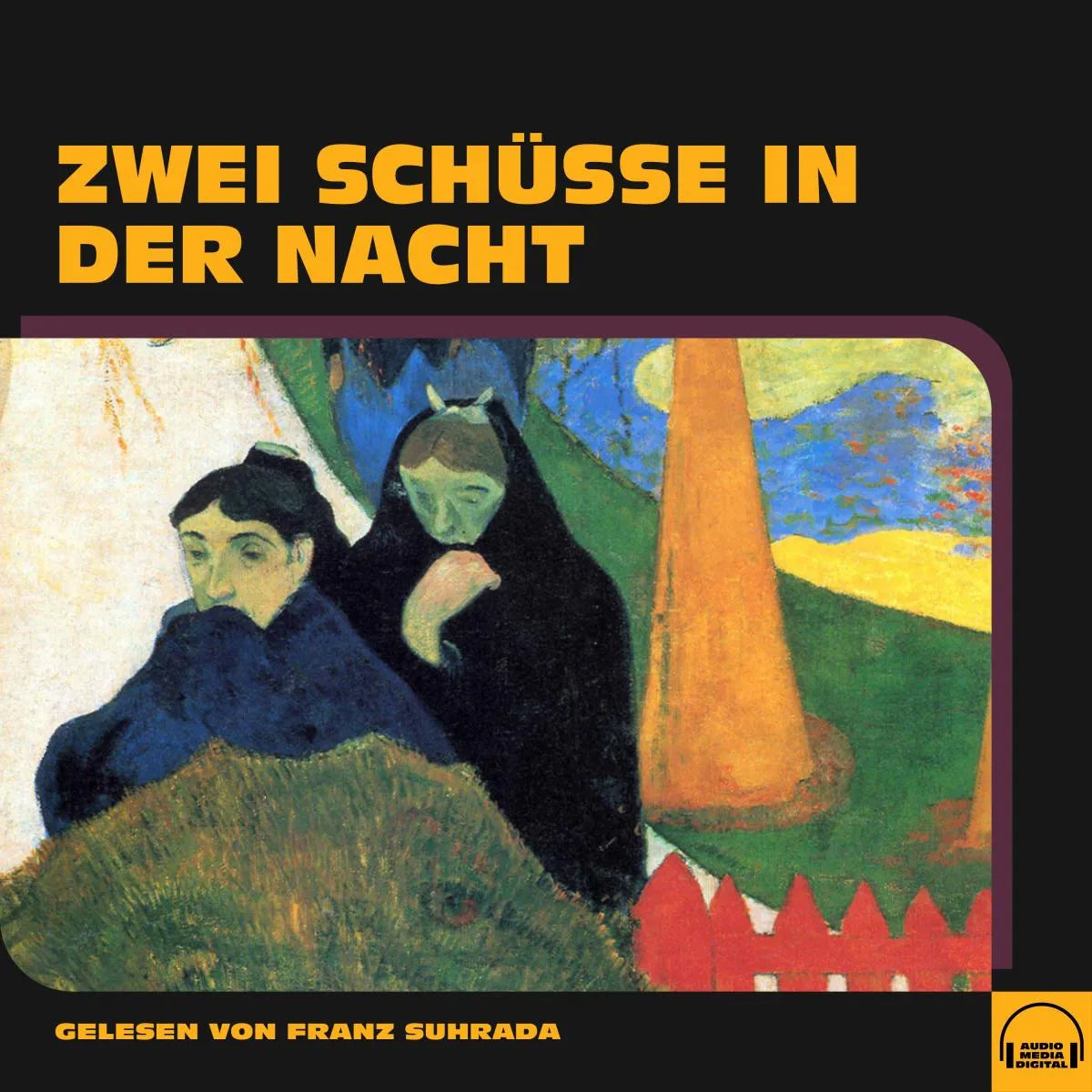 Cover: Zwei Schüsse in der Nacht (Hörbuch Download) von Anonym