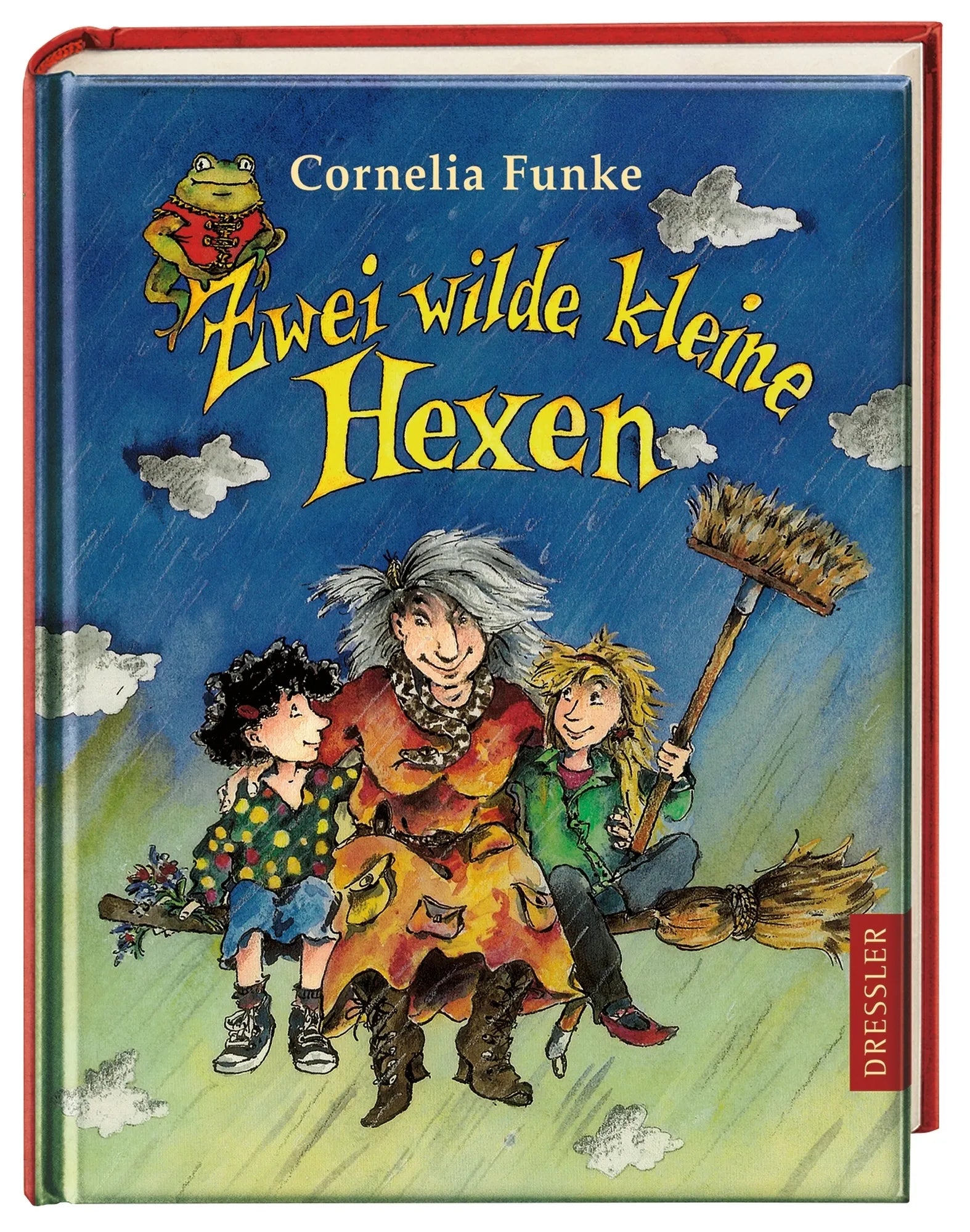 Produktansicht: Zwei wilde kleine Hexen (Gebundene Ausgabe)