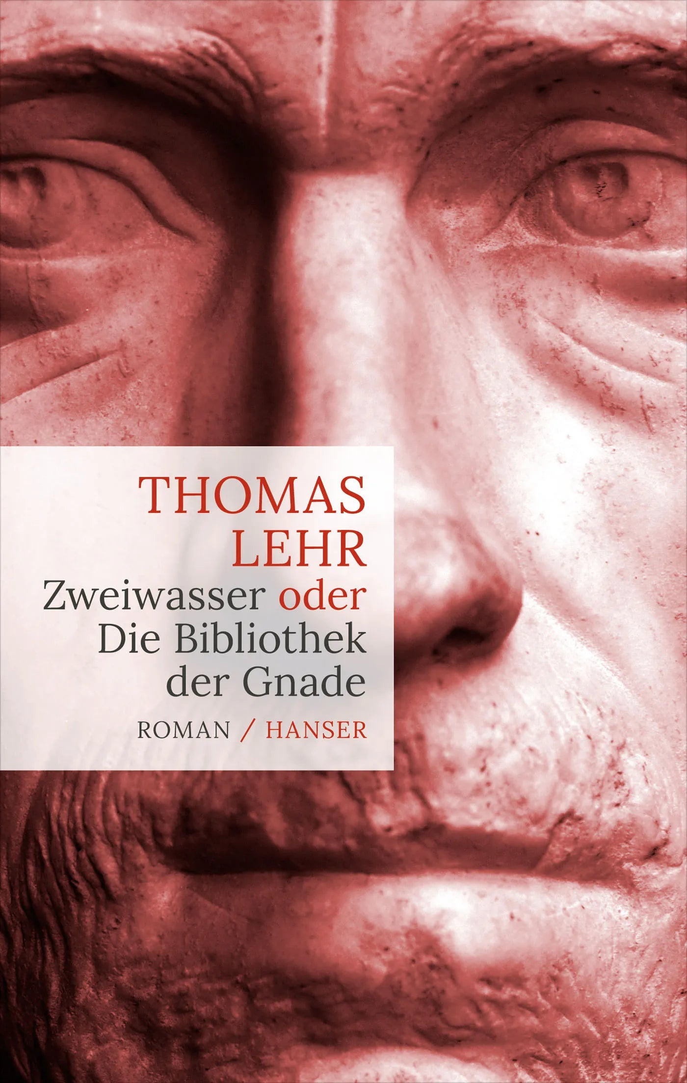 Buchcover von 'Zweiwasser' - Gebundene Ausgabe von Thomas Lehr