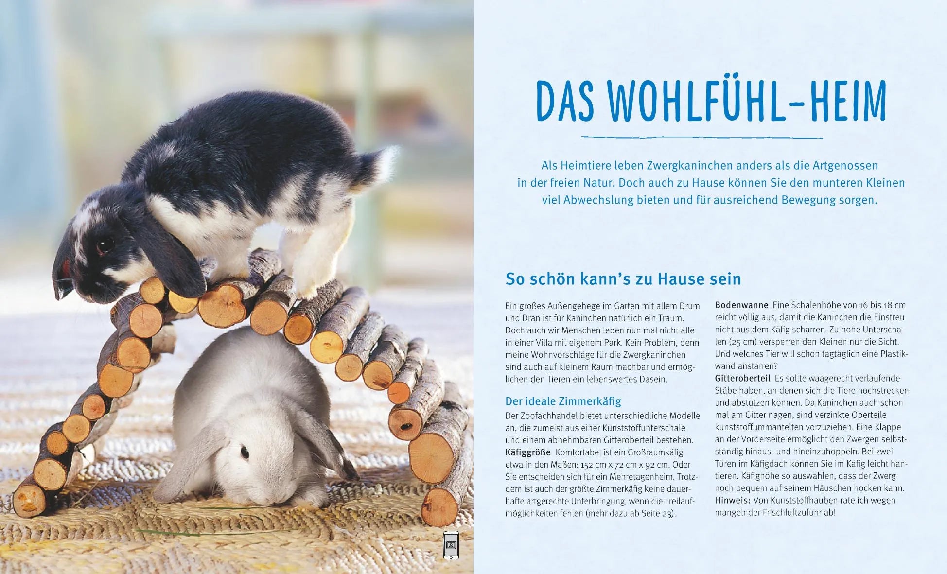 Abbildung von 'Zwergkaninchen'
