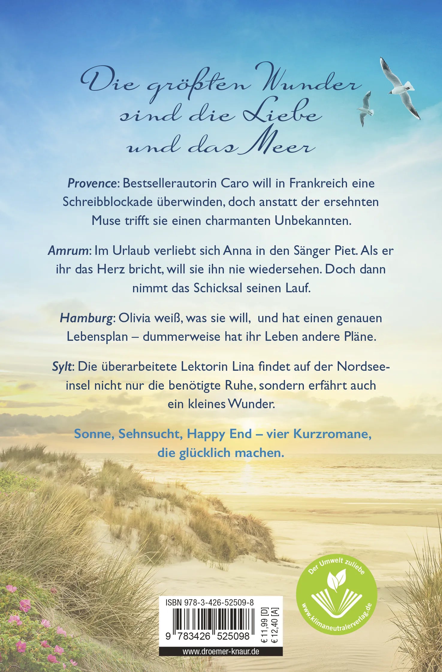 Buchrückseite von 'Zwischen den Wellen glitzert das Glück' mit Klappentext - Taschenbuch