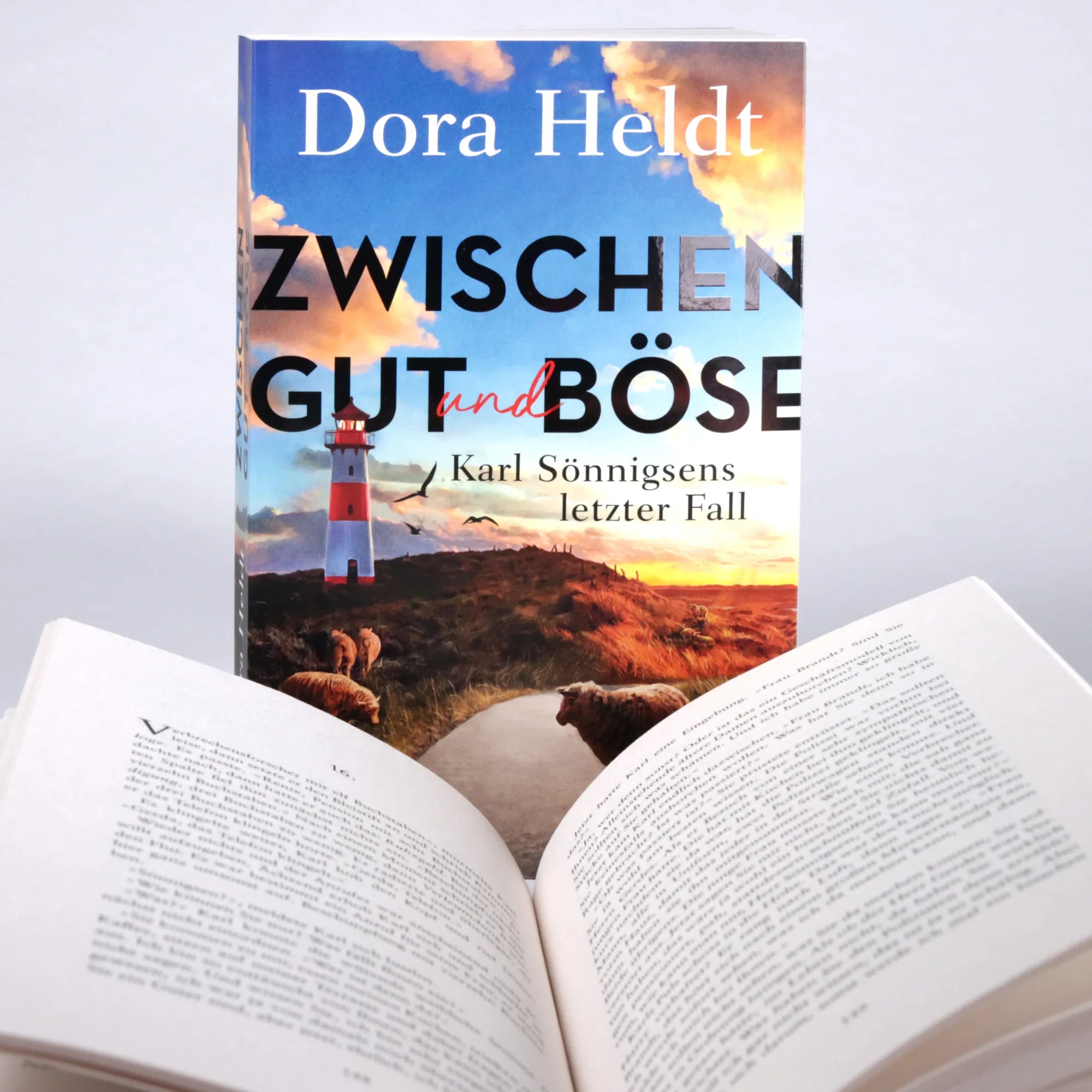 Detailansicht: Zwischen Gut und Böse (Paperback)