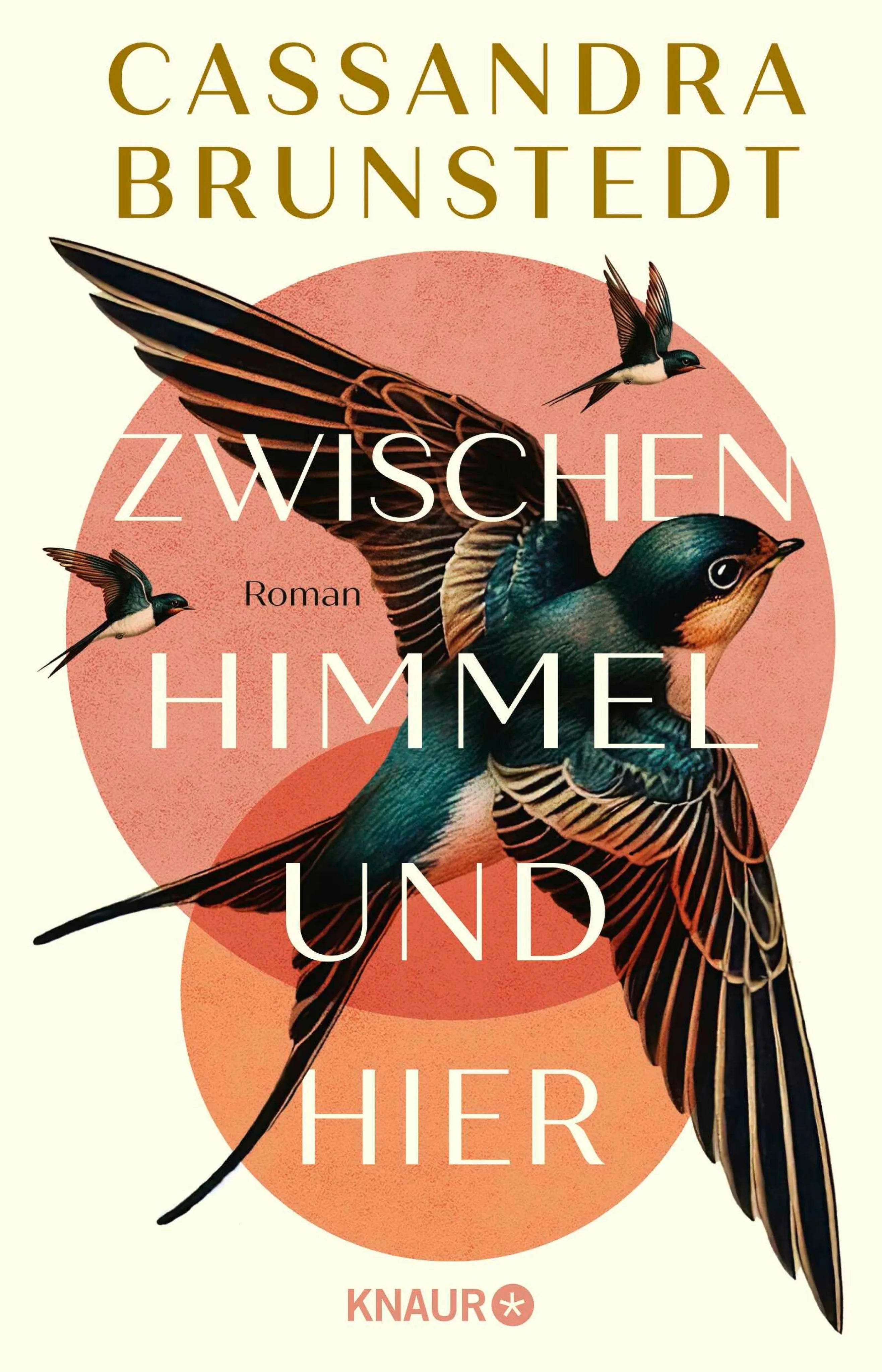 Cover: Zwischen Himmel und hier (E-Book) von Cassandra Brunstedt
