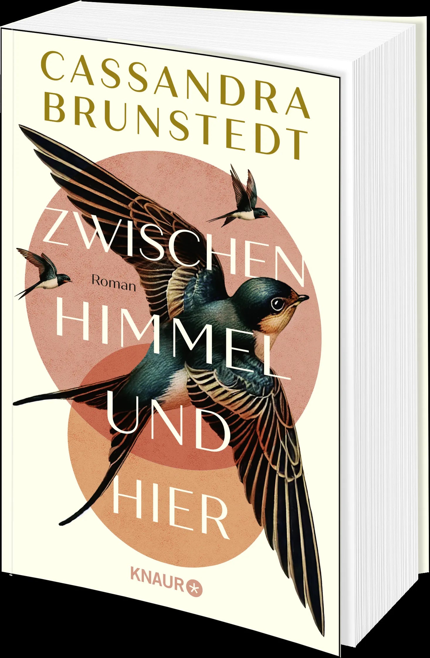 Detailansicht: Zwischen Himmel und hier (Paperback)
