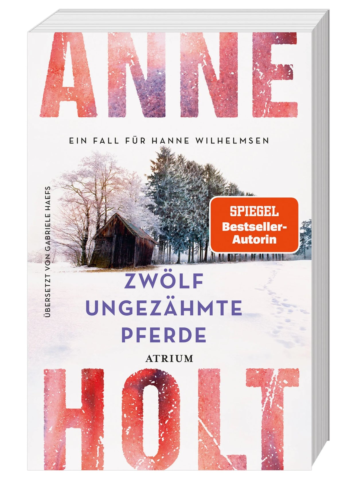 Detailansicht: Zwölf ungezähmte Pferde (Taschenbuch)
